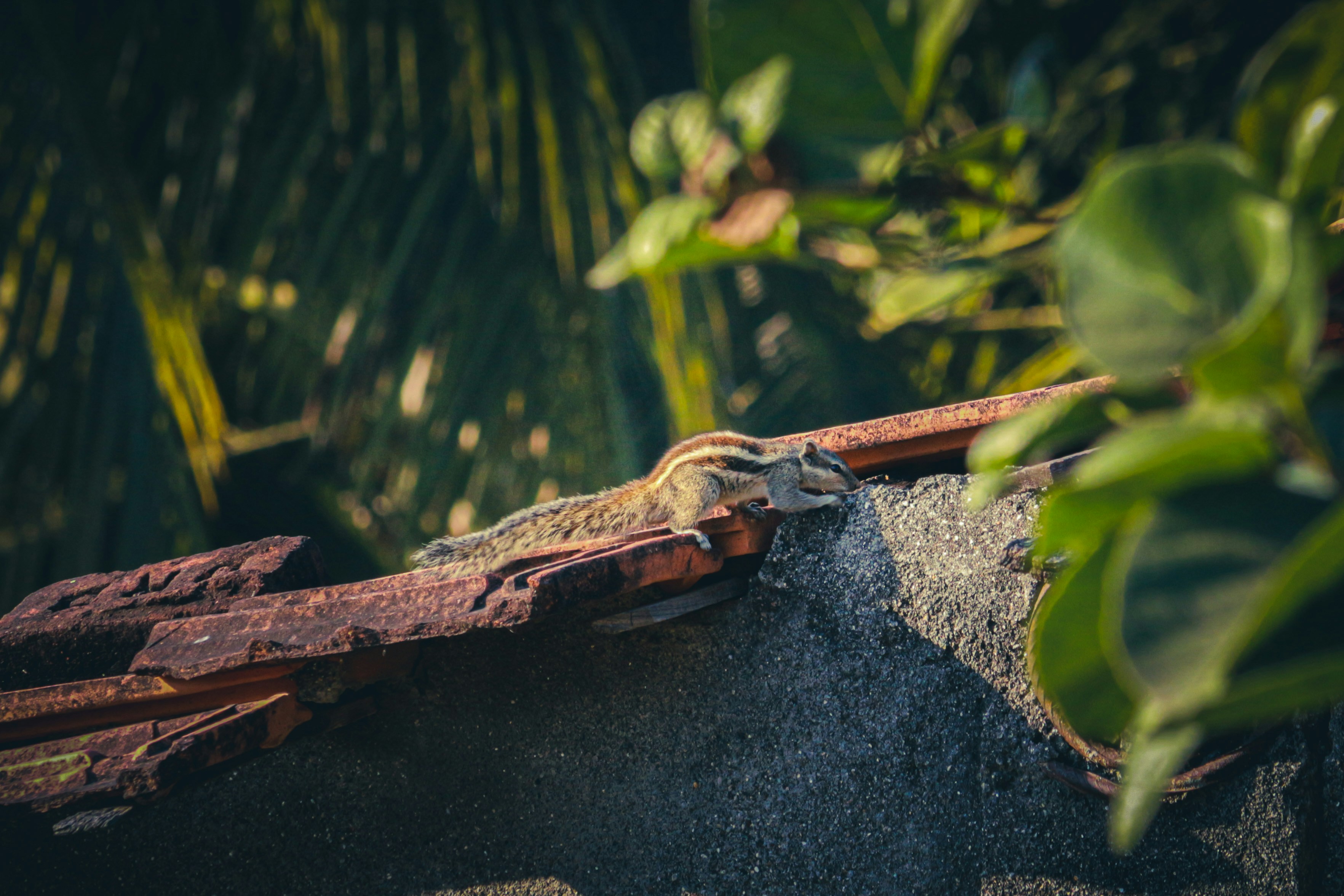 Photo by pixel_guy97