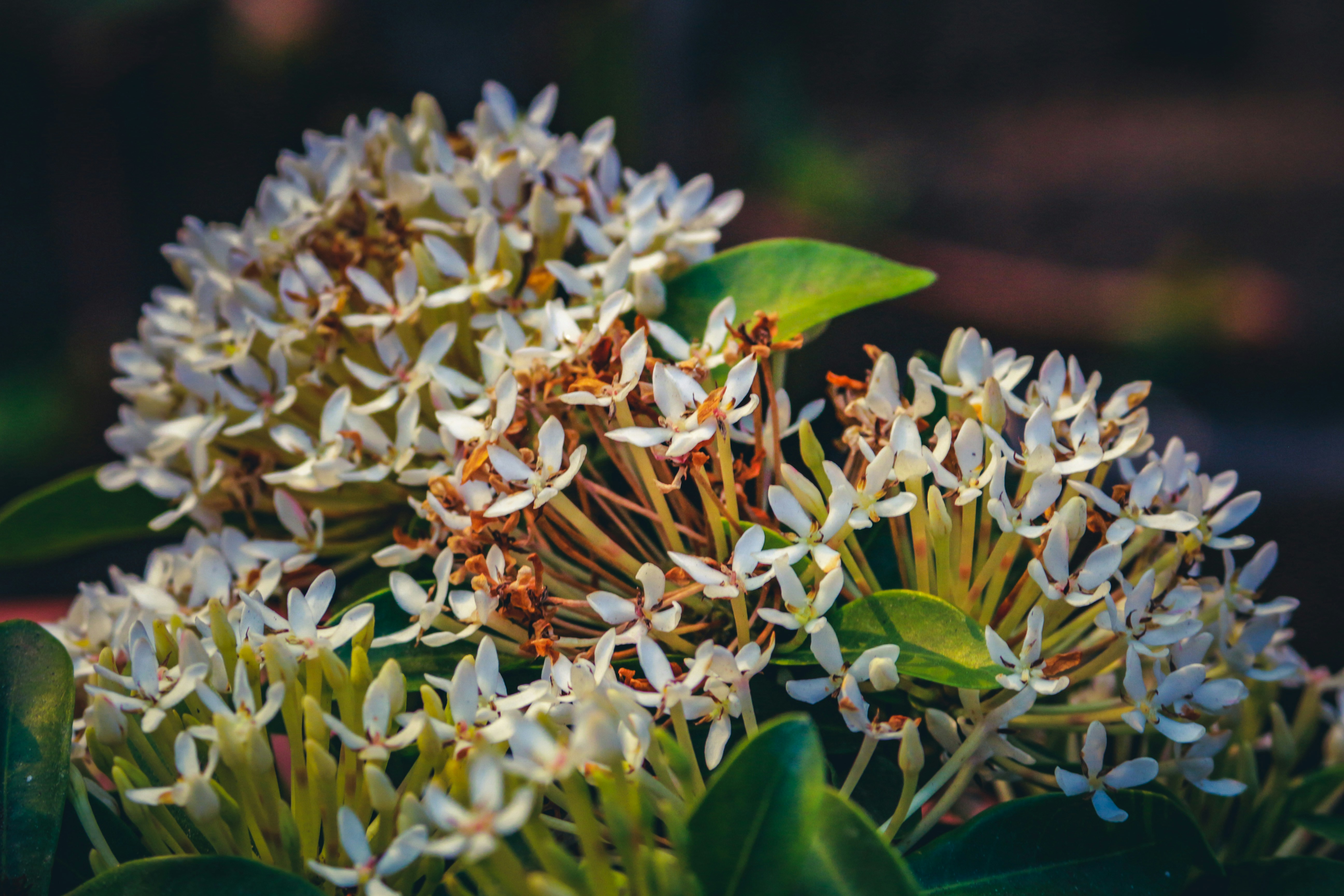 Photo by pixel_guy97