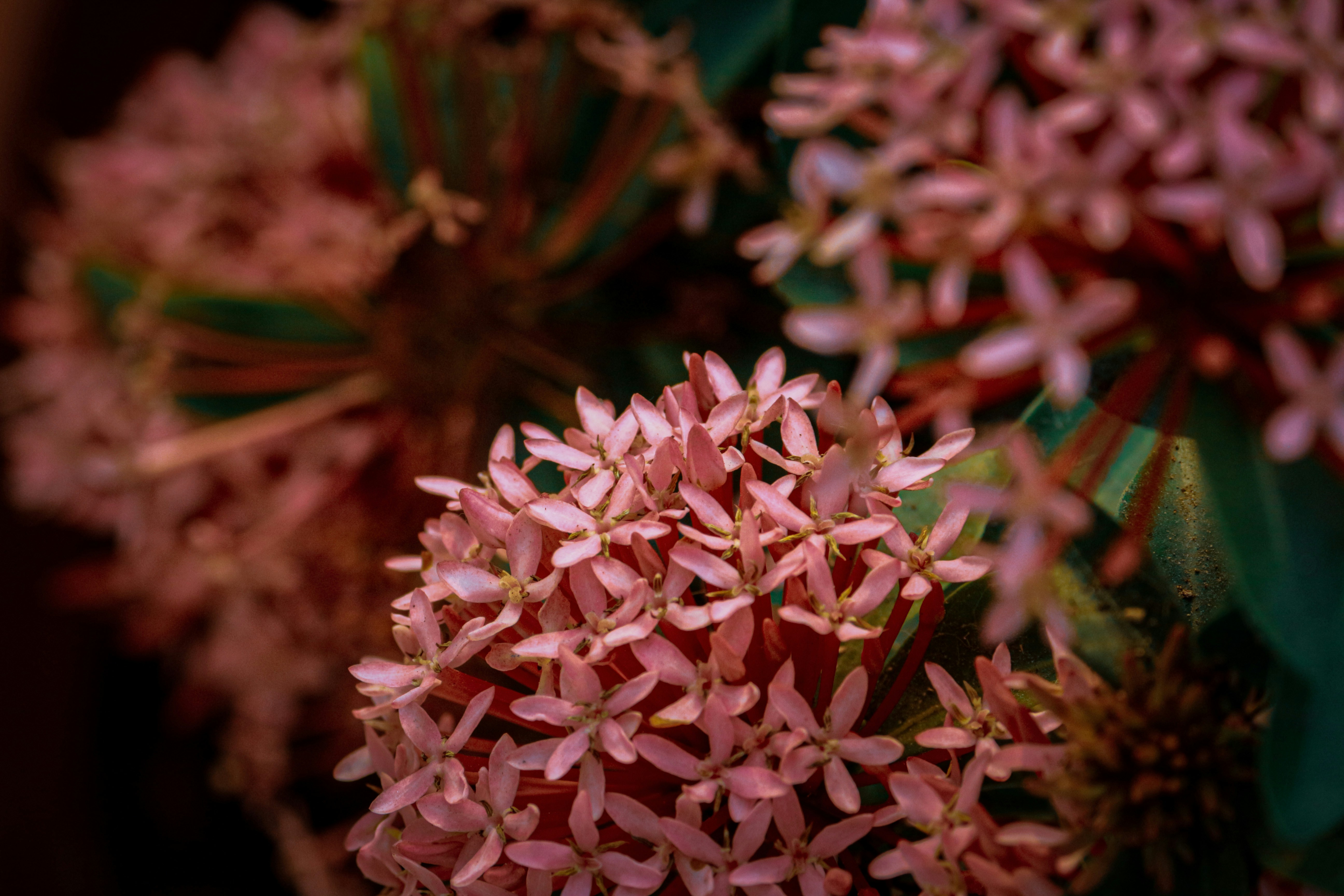 Photo by pixel_guy97