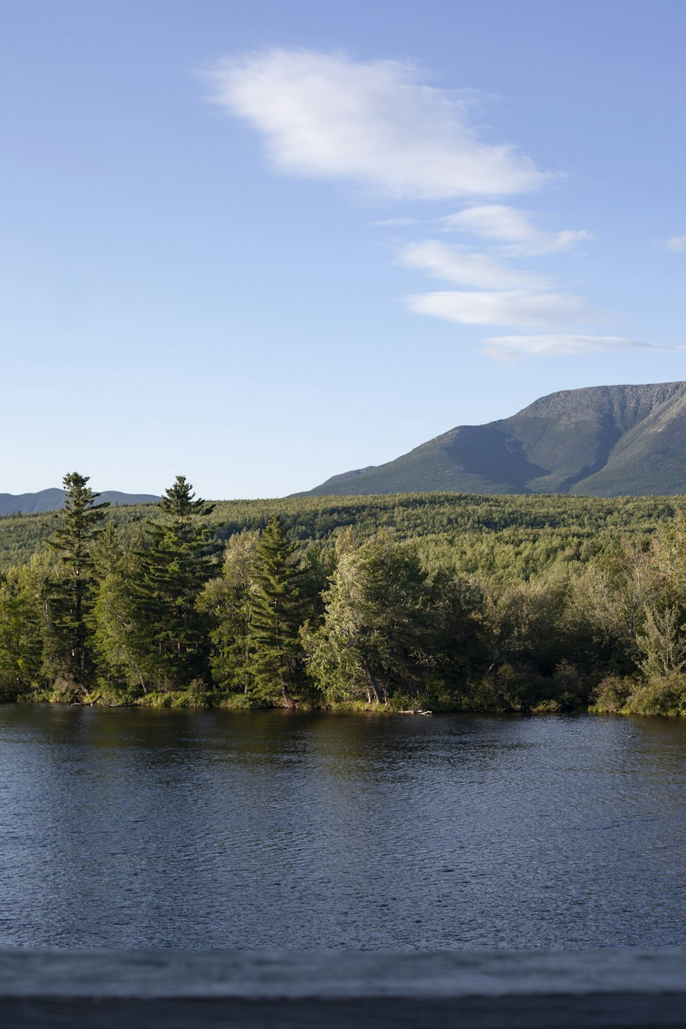 a body of water surrounded by trees and mountains