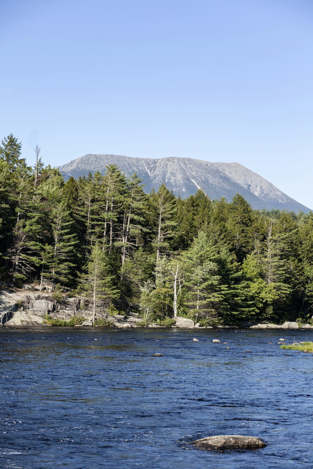 a lake surrounded by trees with a mountain in the background