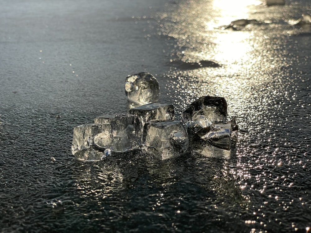 a bunch of ice cubes sitting on top of a wet ground