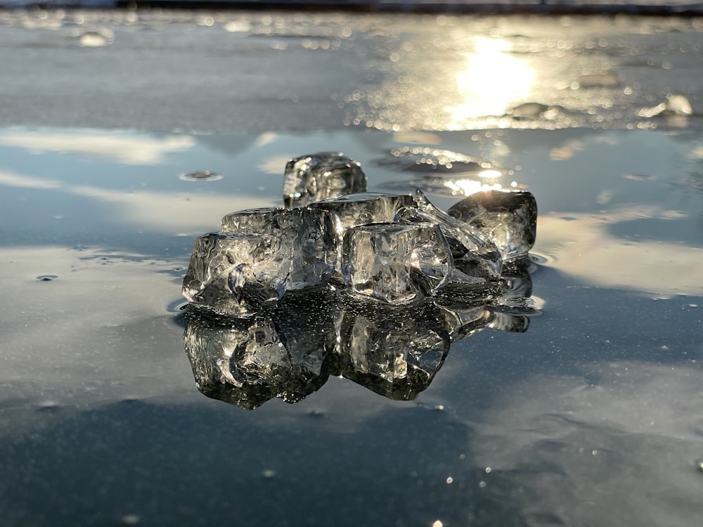 cubos de gelo na superfície da água com o sol no fundo