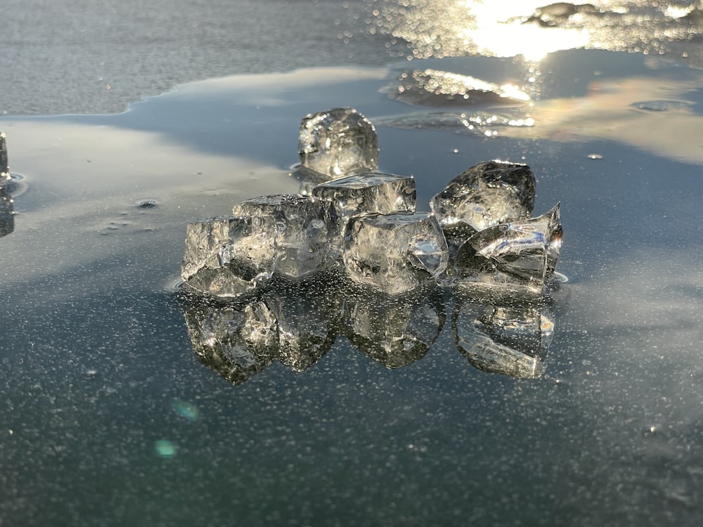 cubetti di ghiaccio sulla superficie di uno specchio d'acqua