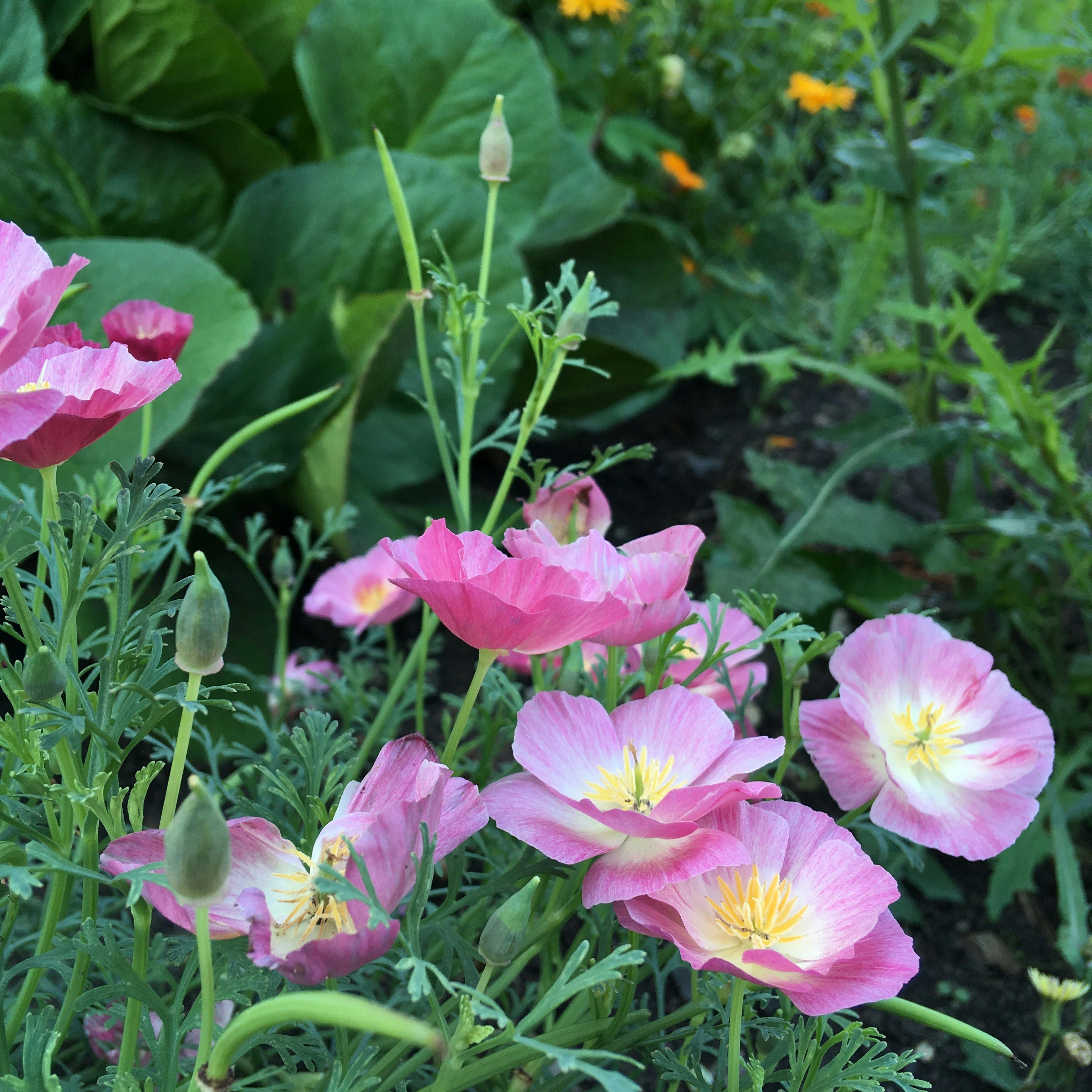 Photo by elizabeth18