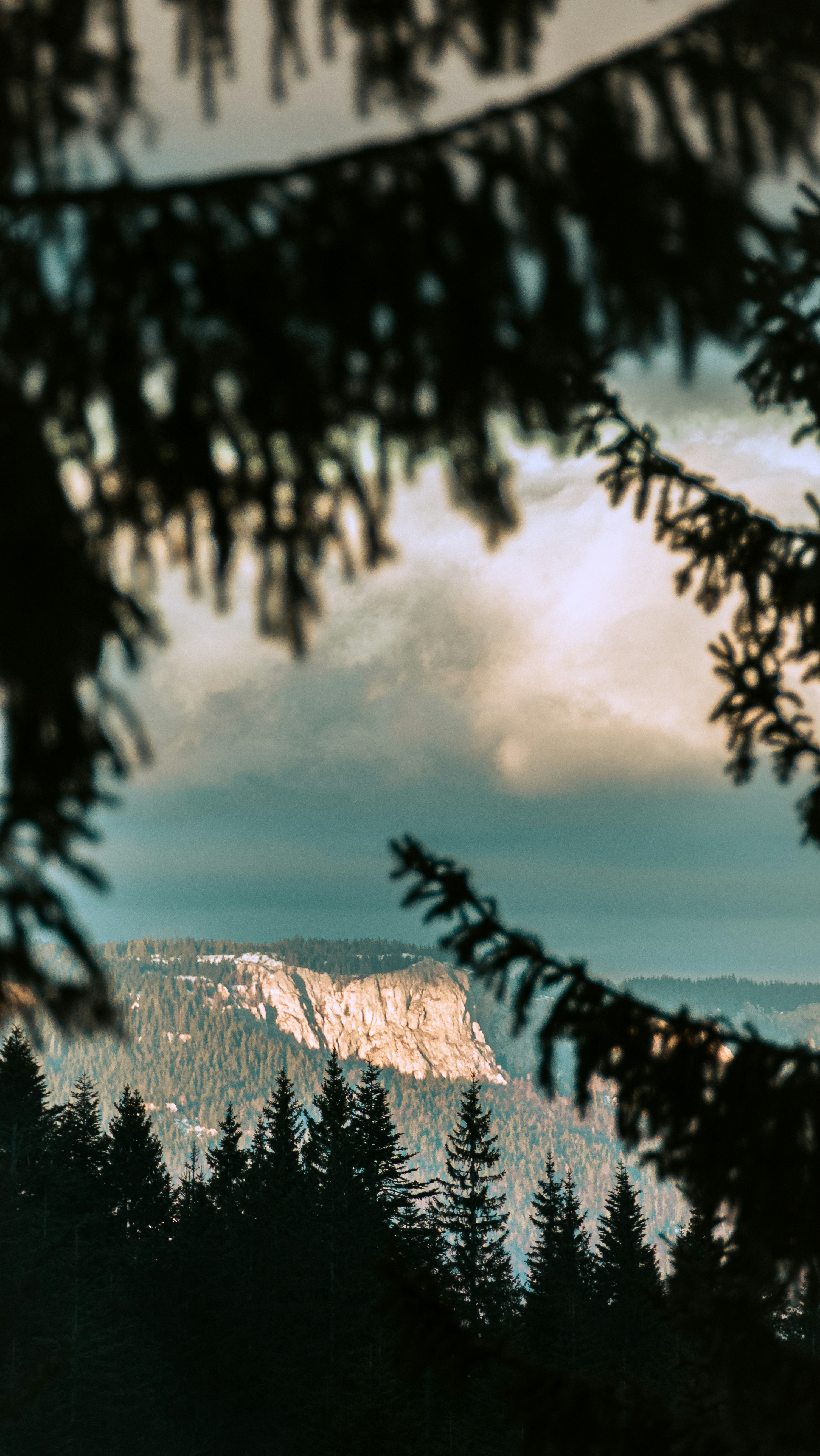 a view of a mountain through the branches of a tree