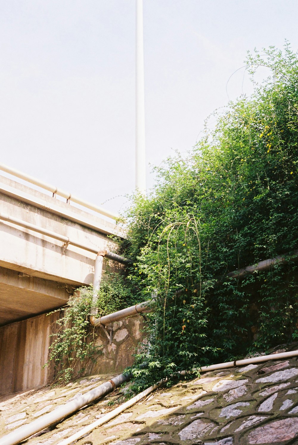 a bridge over a river next to a lush green forest