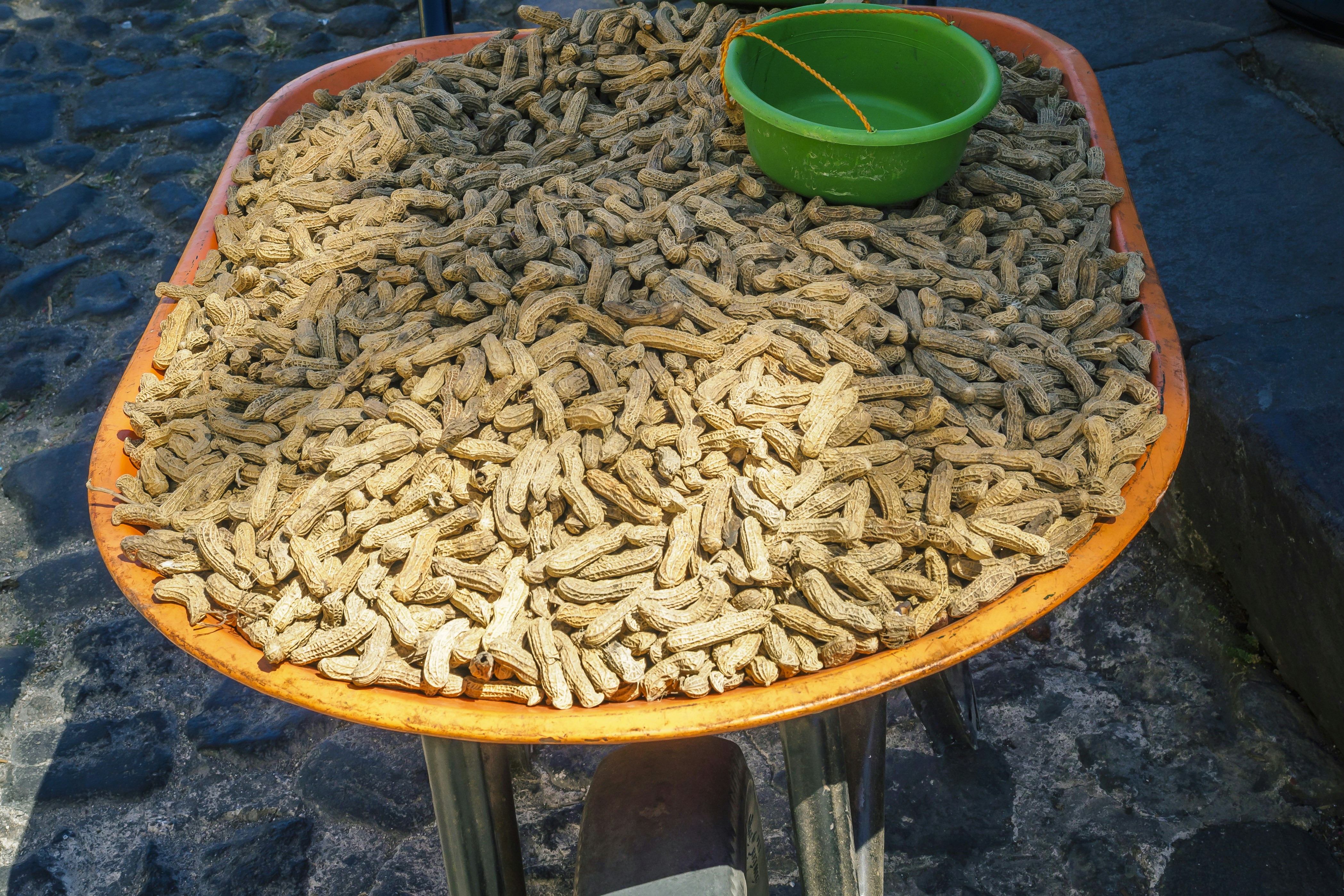 a large tray of worms sitting on top of a table