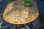 A large quantity of peanuts in their shells is displayed on a round orange tray. A green plastic bowl sits among the peanuts, contrasting with the rough cobblestone street in the background.