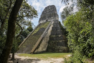 A large, ancient stone pyramid structure surrounded by lush green jungle vegetation. The pyramid is partly covered in moss and appears weathered by time. The sky above is partly cloudy.
