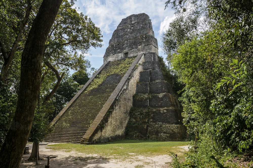 Una gran pirámide en medio de un bosque