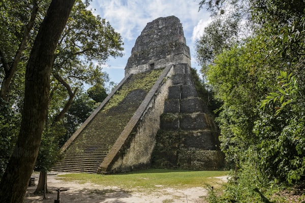 Tikal temple jungle