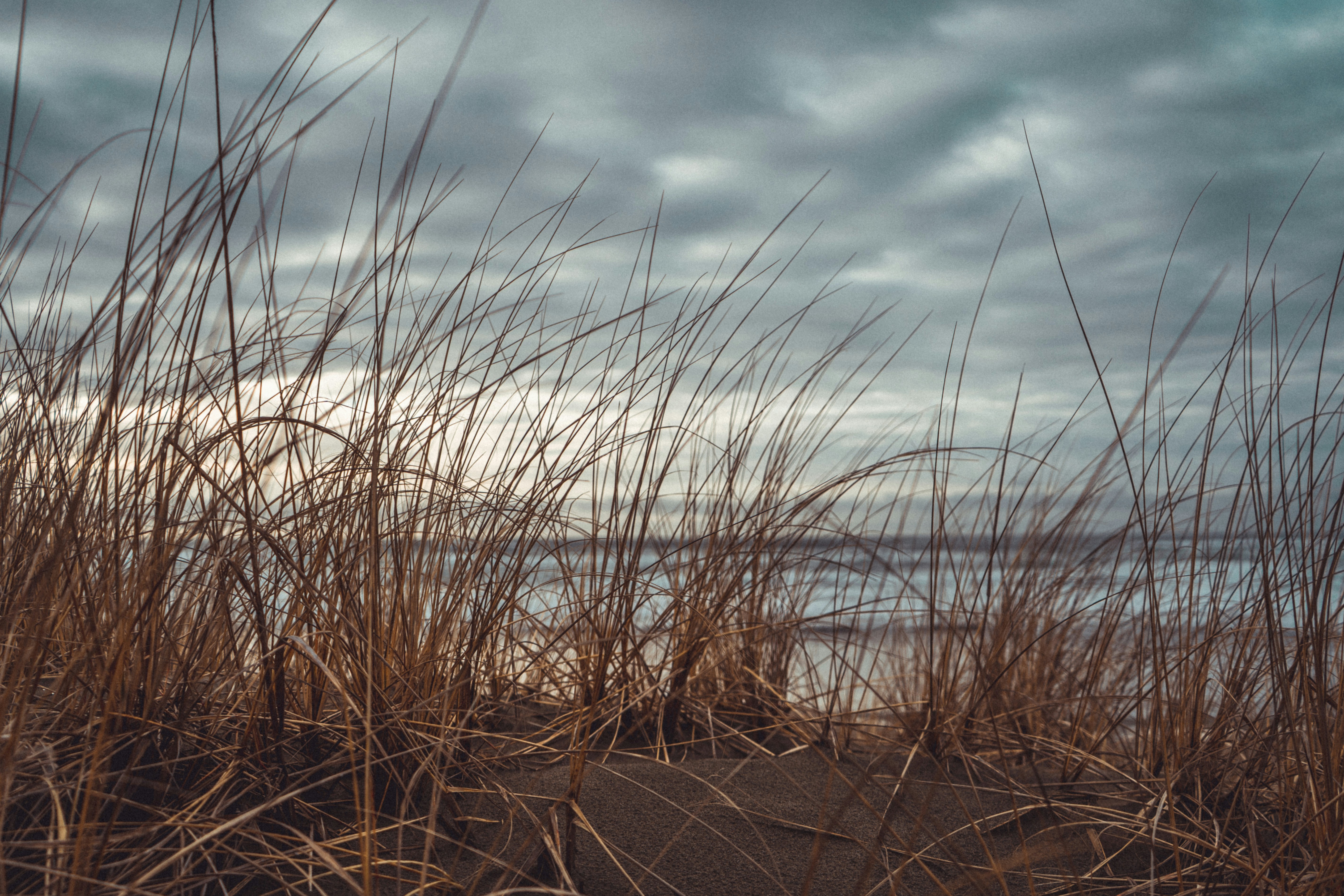 Photo by jaspergarrattphotography