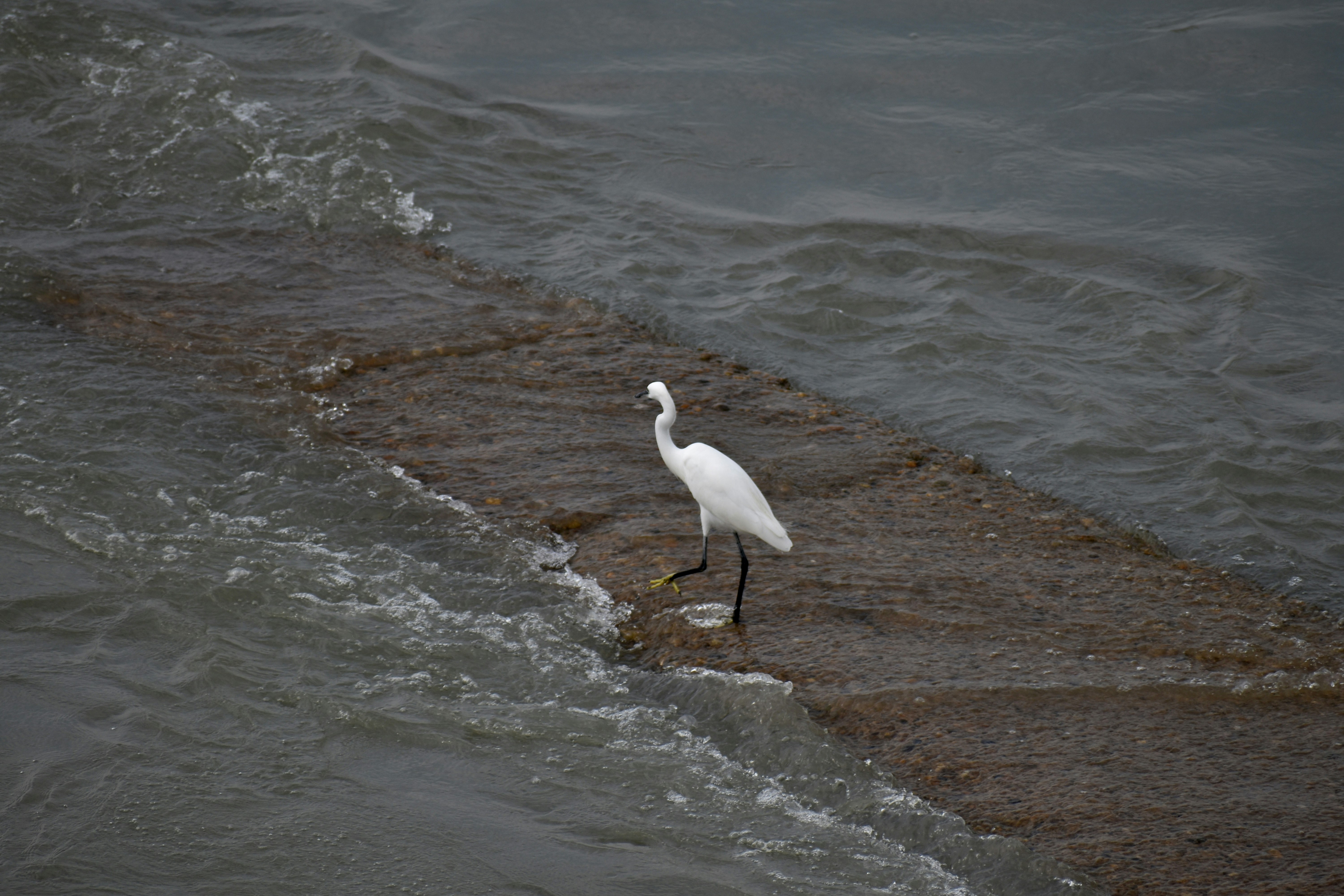 Photo by saurabhkumar4525