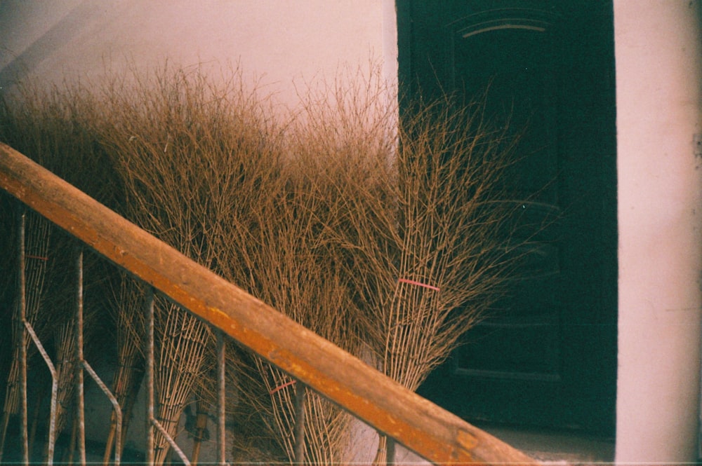 a bunch of dry grass sitting on the side of a building