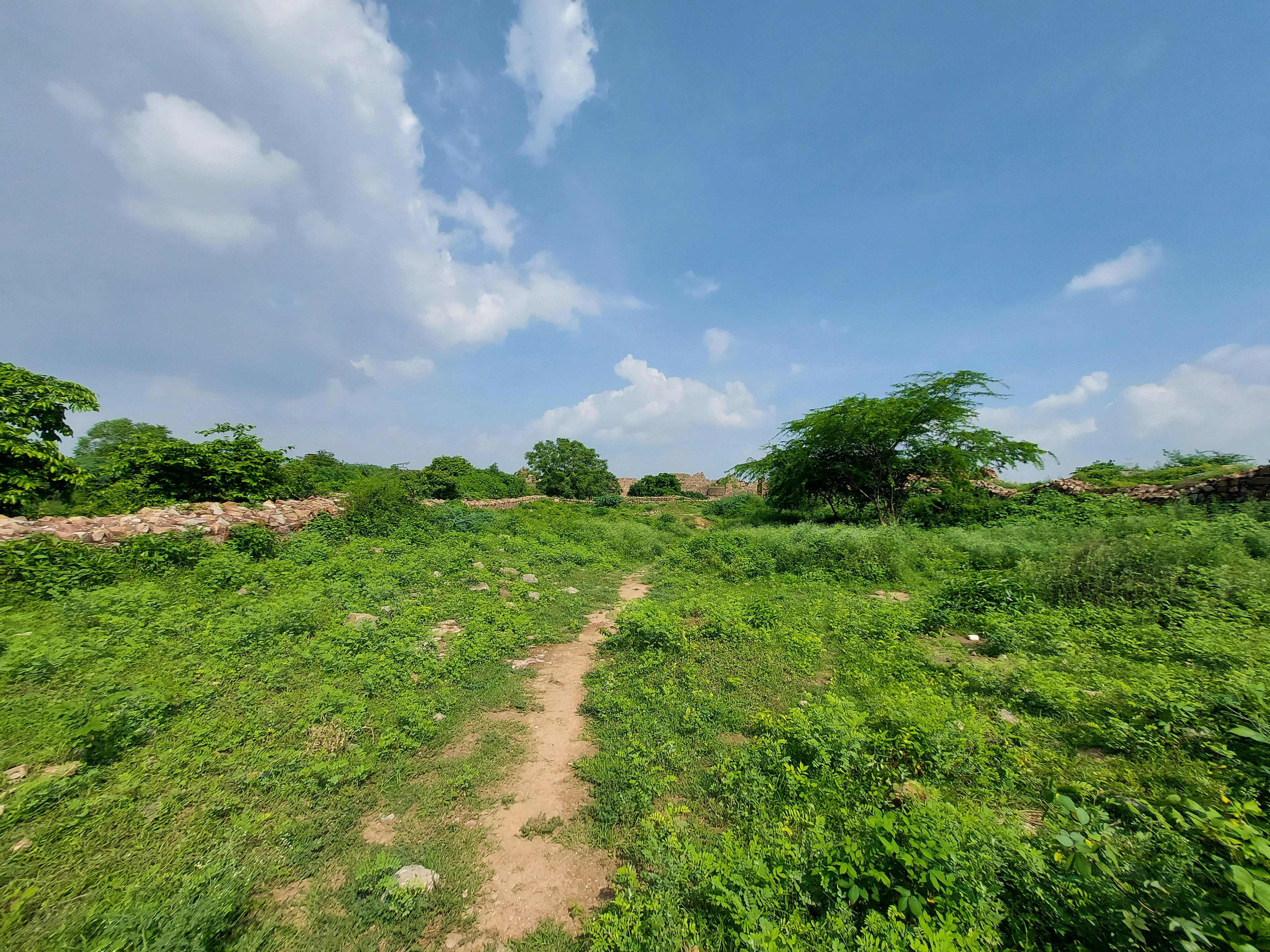 Photo by perky_shots