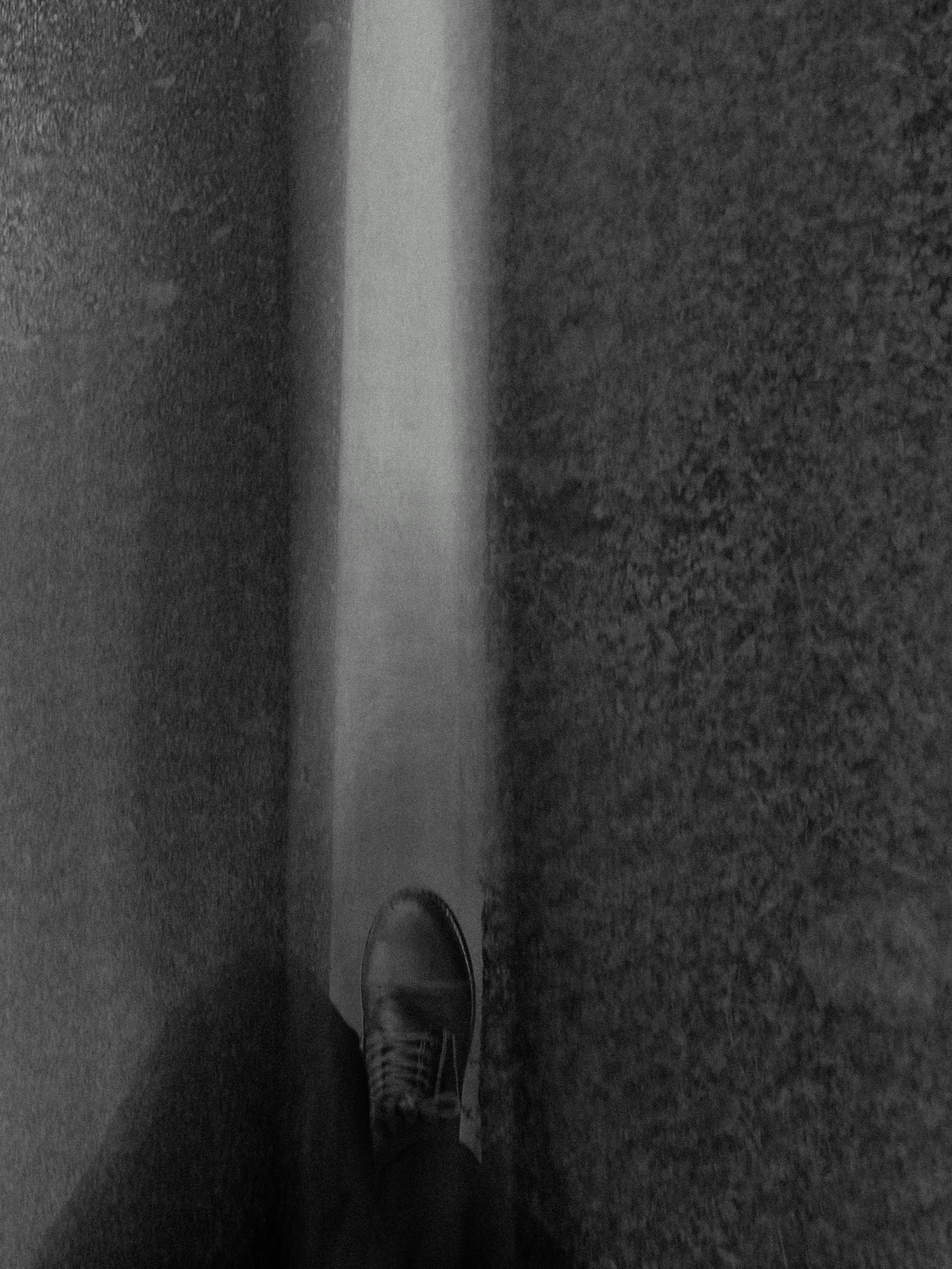 photo-1642437353577-5e500d8e51d6?ixid=M3