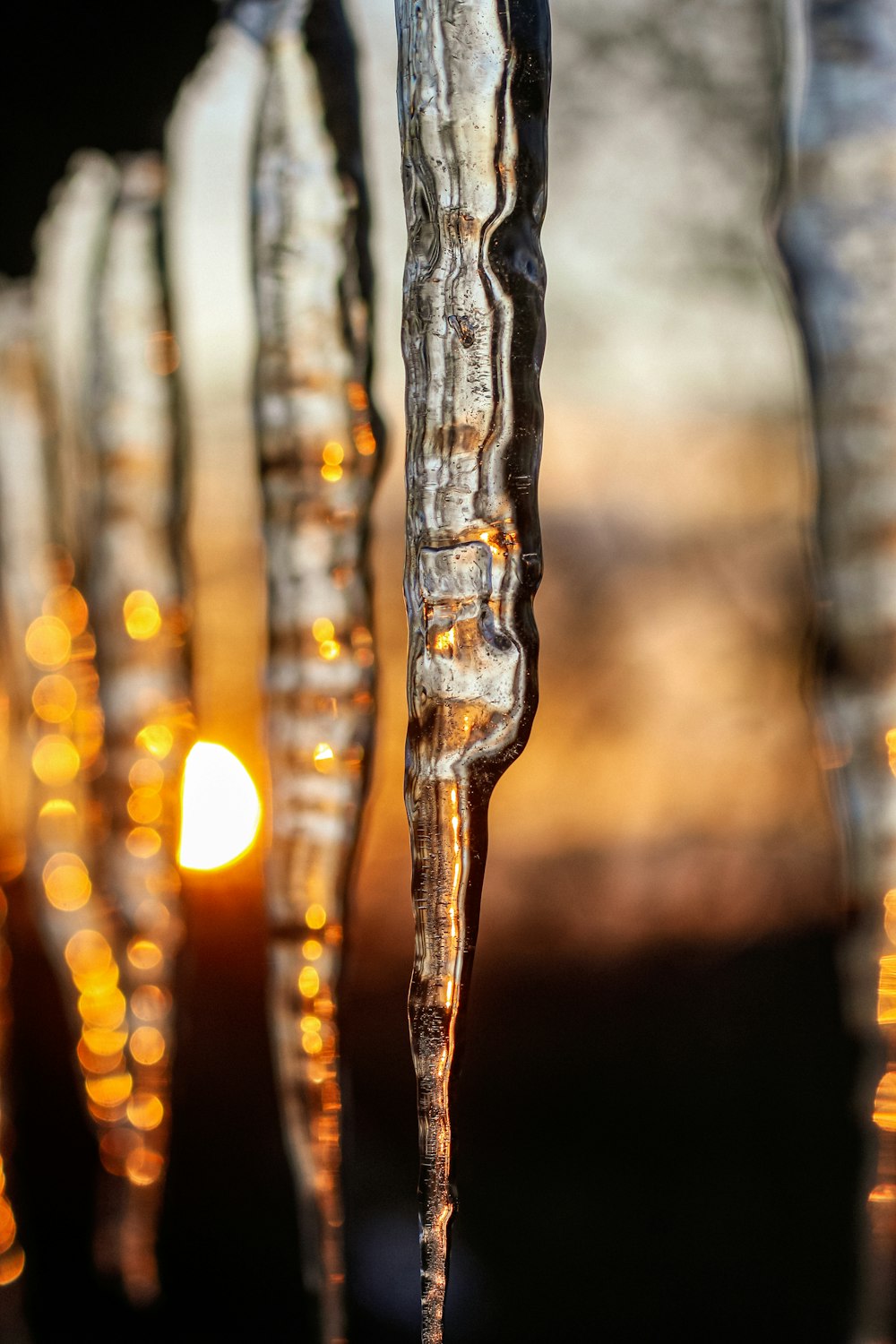 a group of icicles hanging from a tree