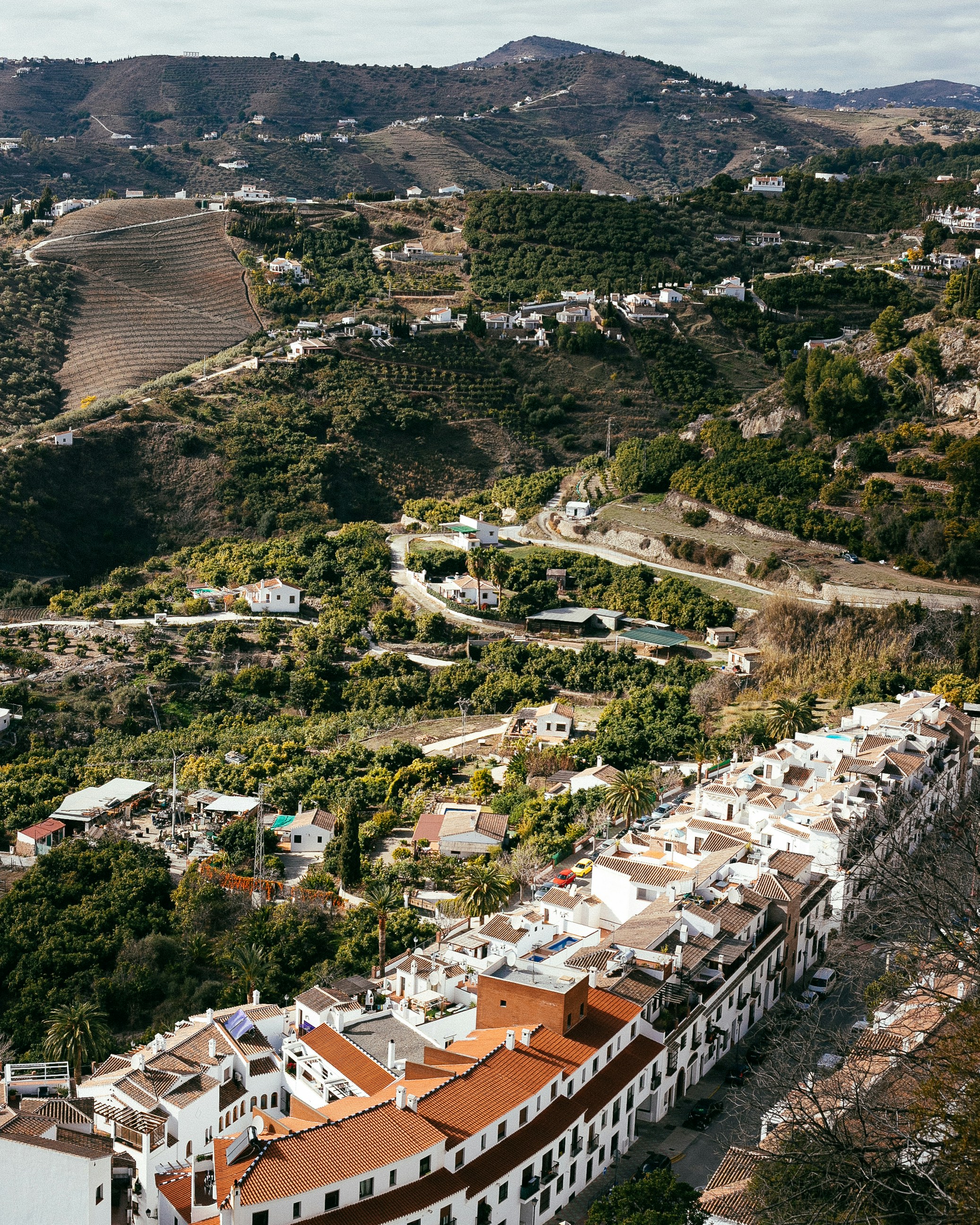 Photo by juliamatuzova