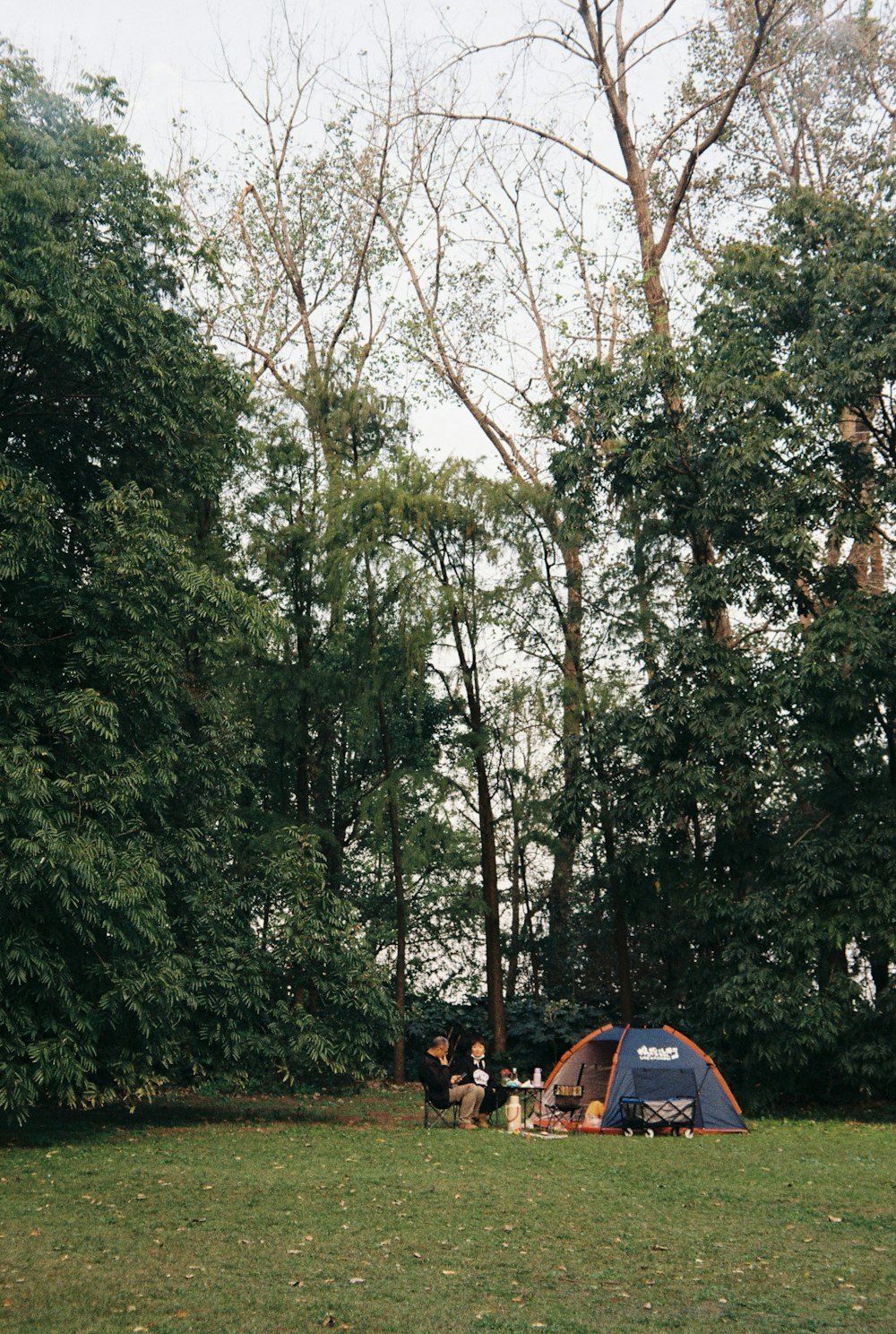 a group of people sitting around a blue tent