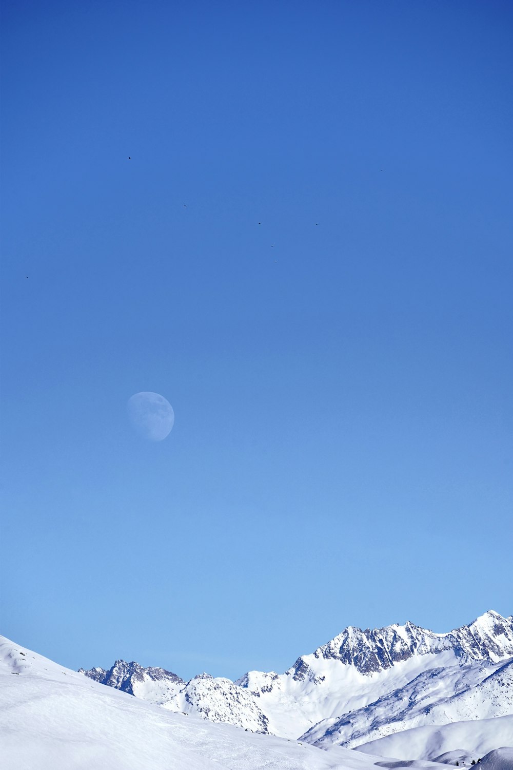 a person riding skis on a snowy surface