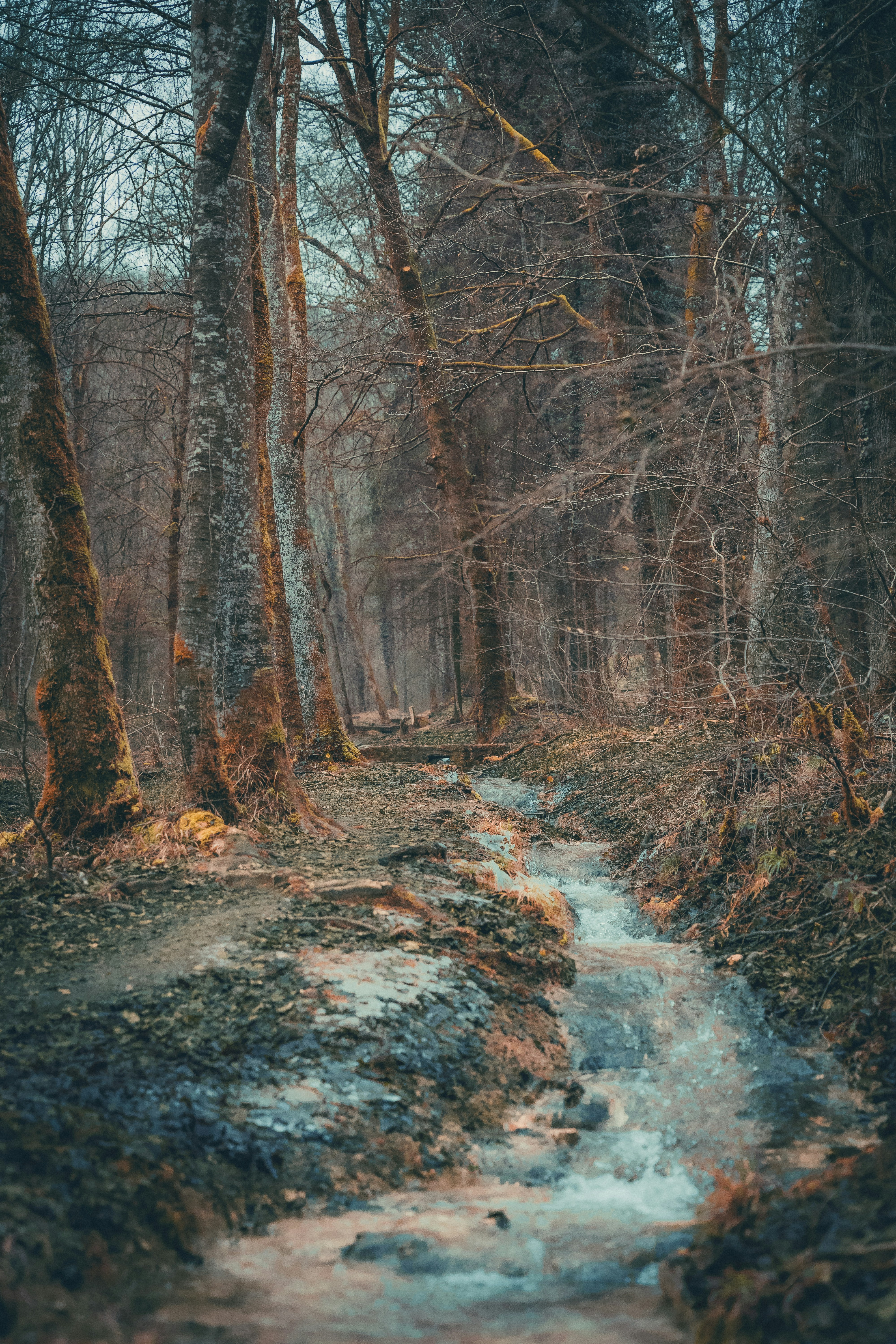 Photo by cameron_visuals