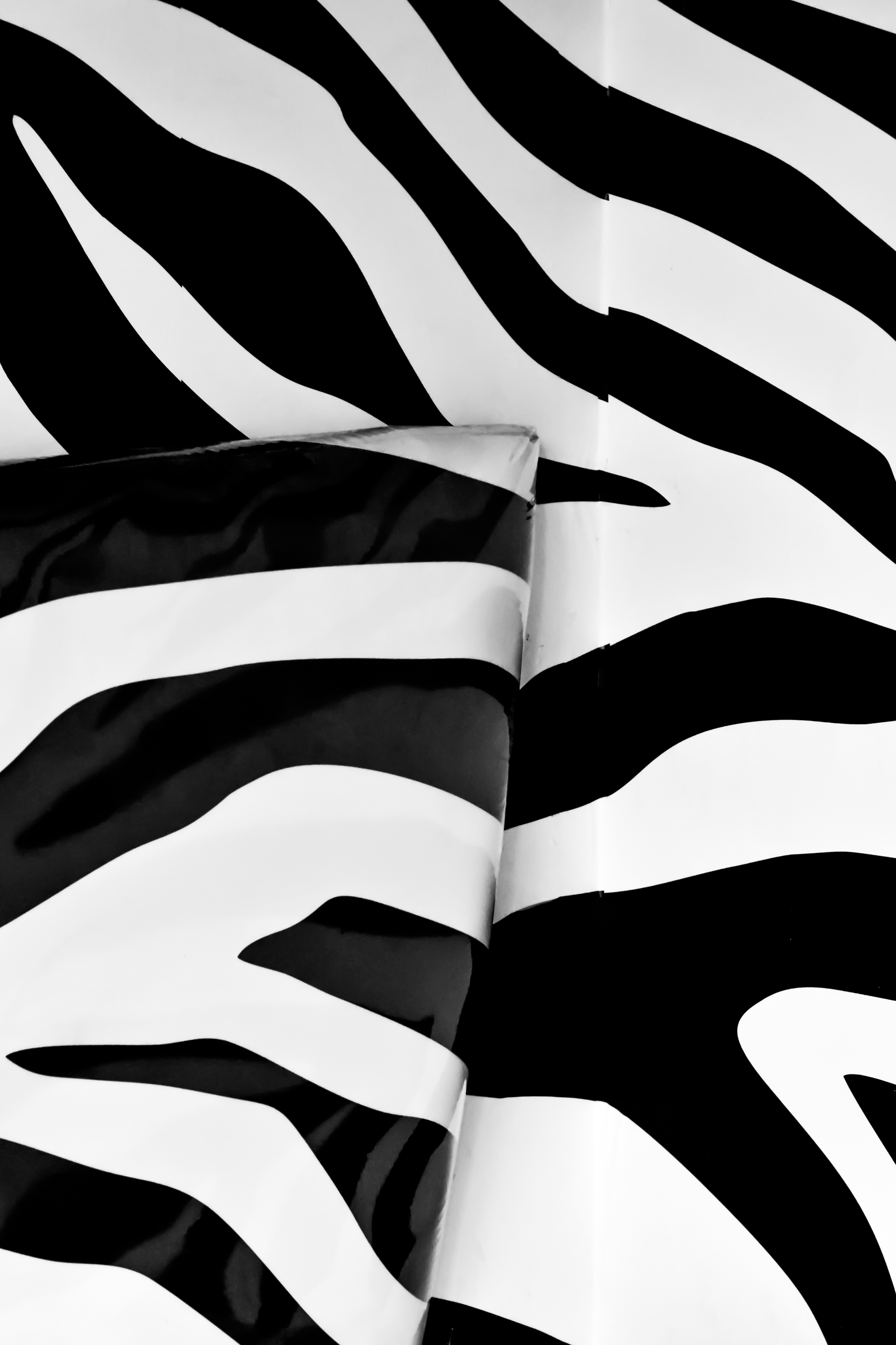 Zebra Print Sheet Set