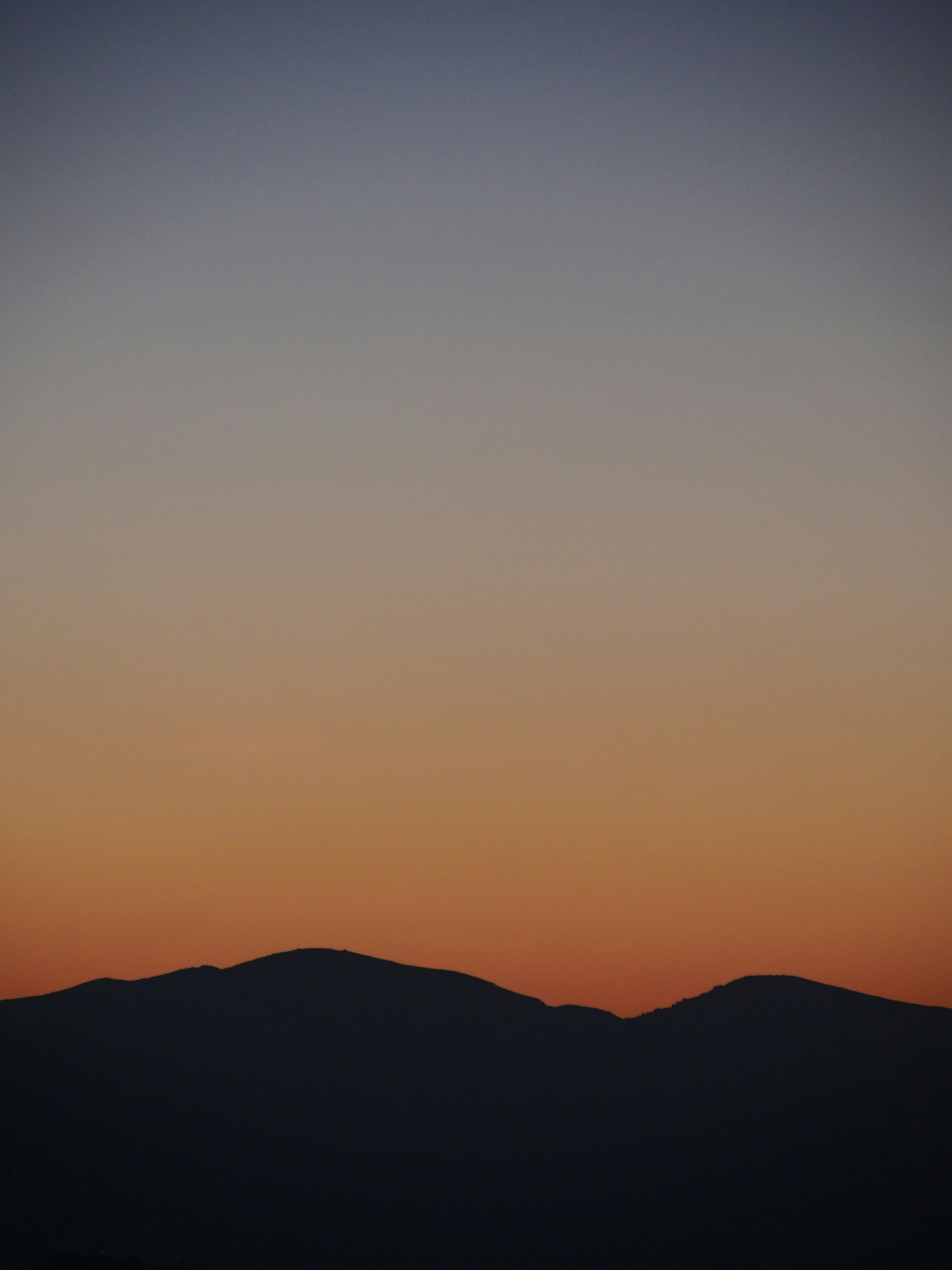 Photo by nimbus_vulpis