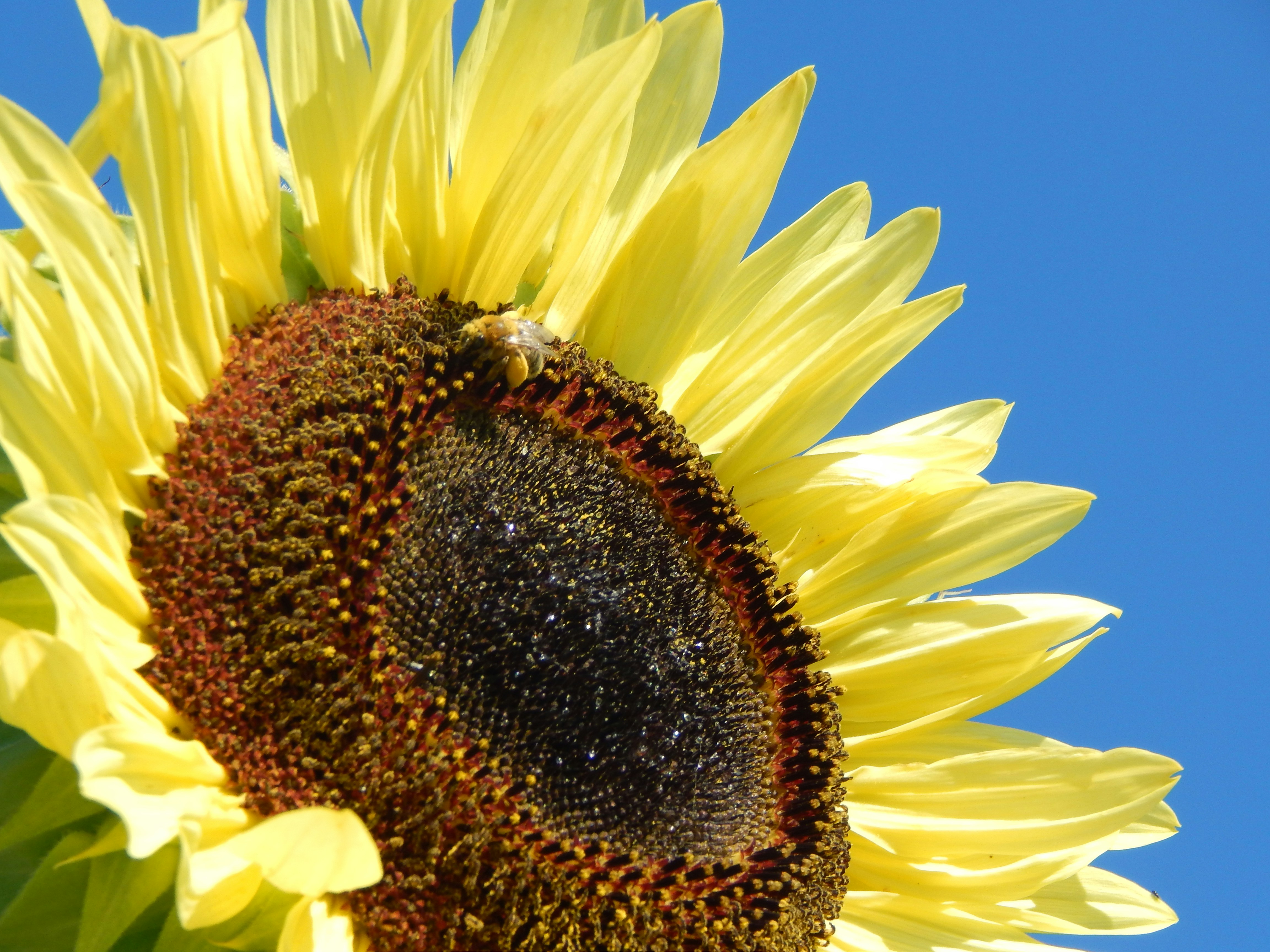 Photo by scarlettweiss