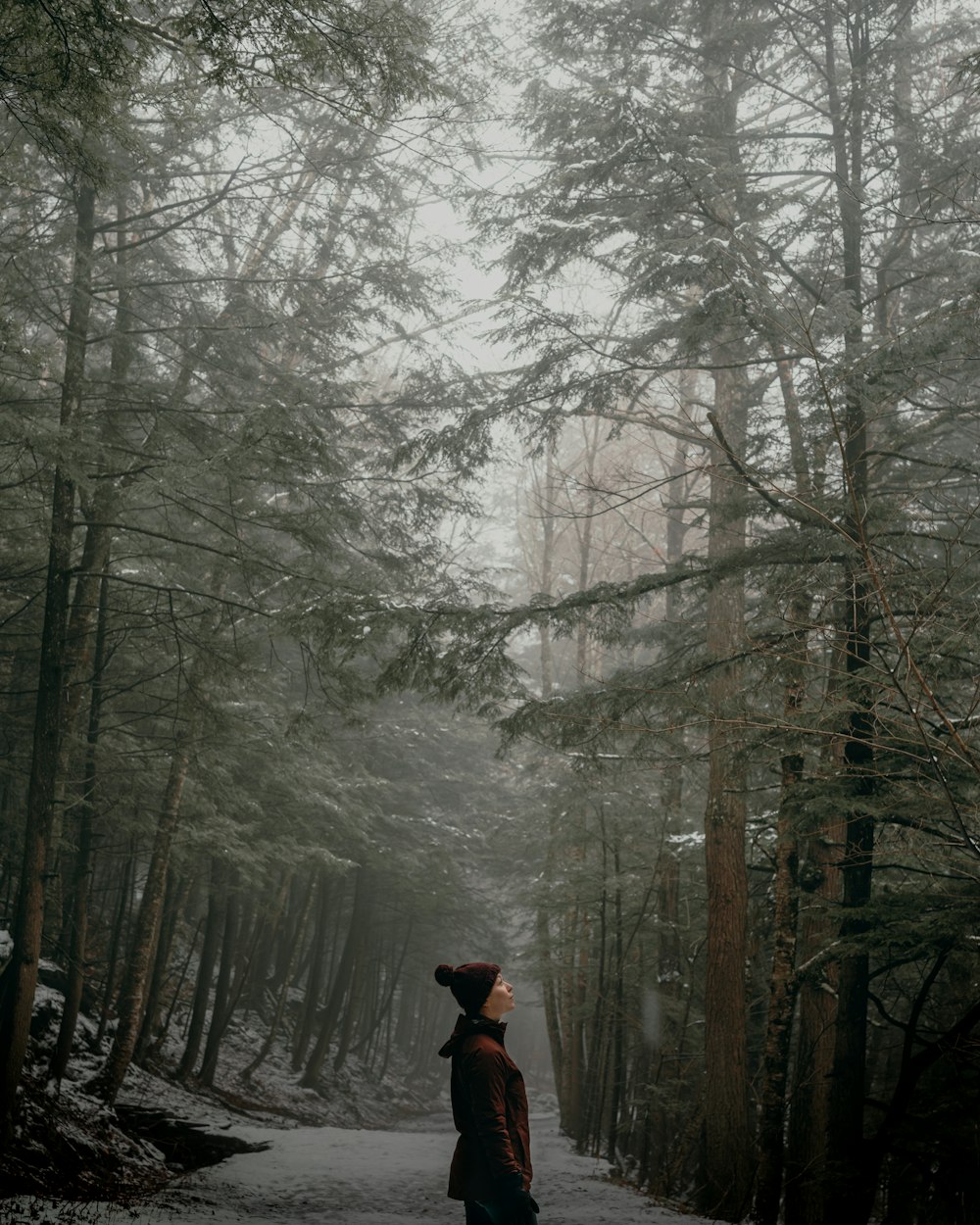 숲 한가운데에 서 있는 사람