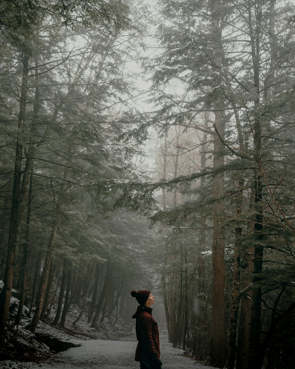 Una persona parada en medio de un bosque