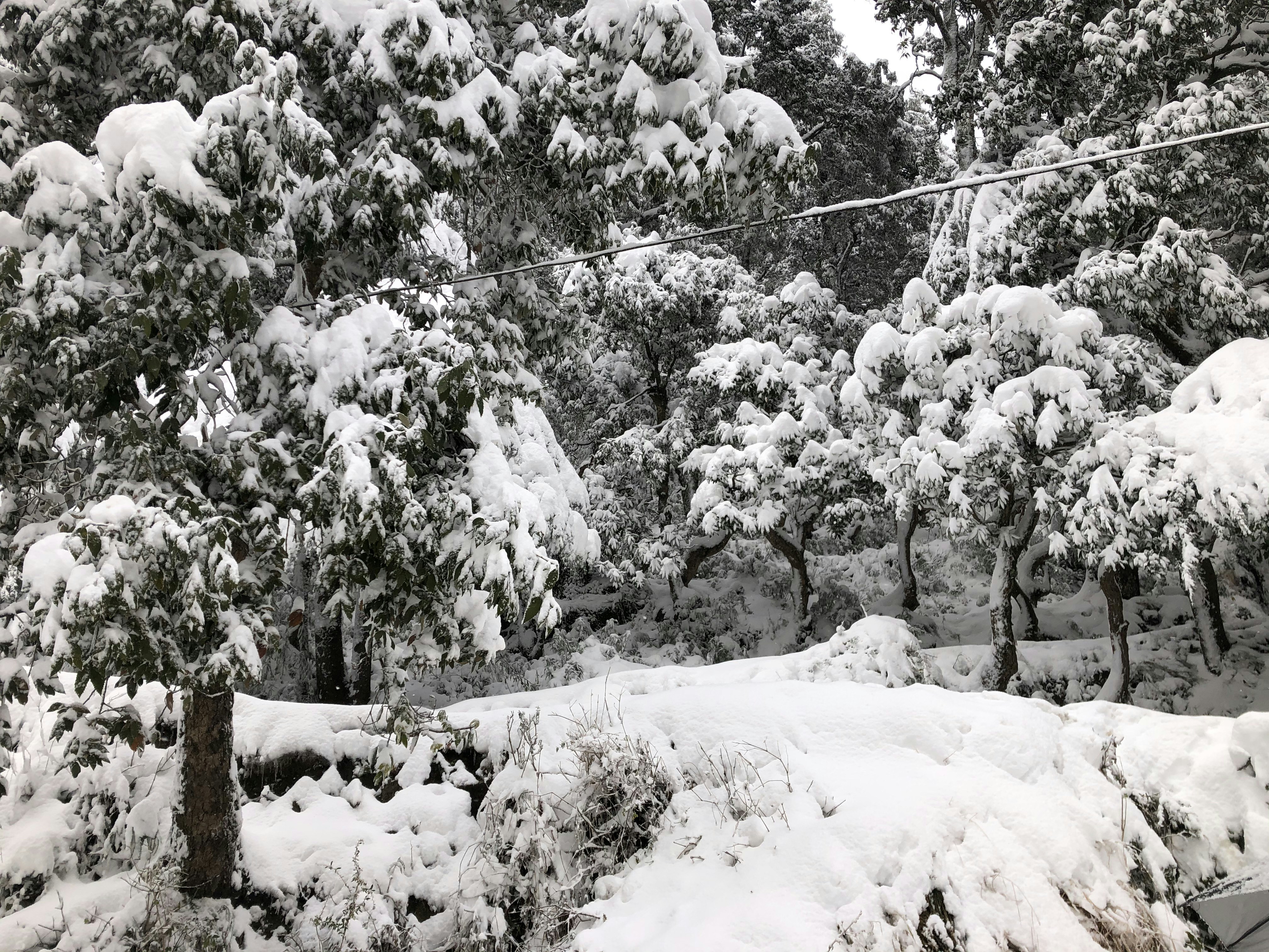 Photo by wallpaperkingsaini