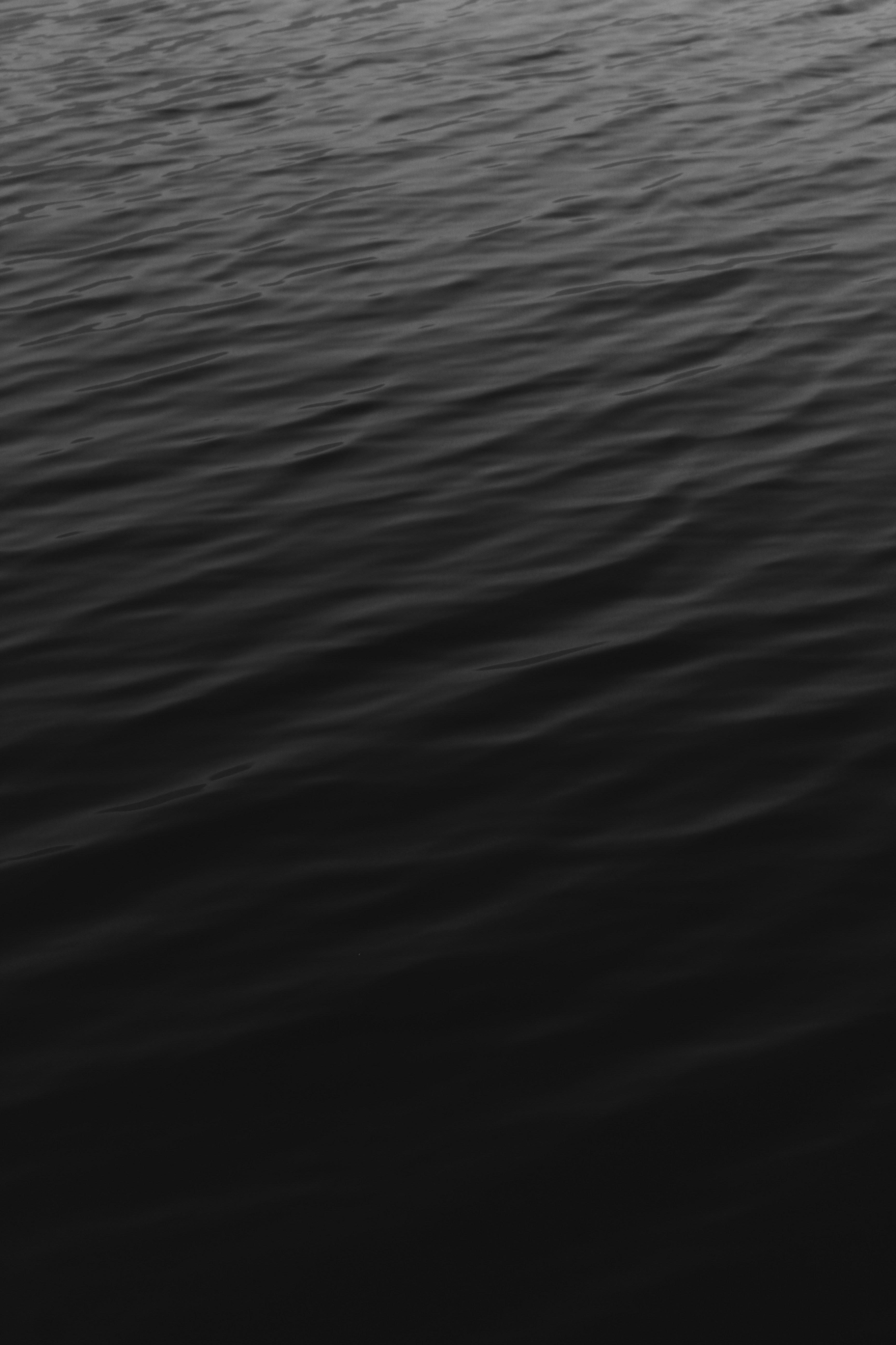 Photo by eyeswithmyopia