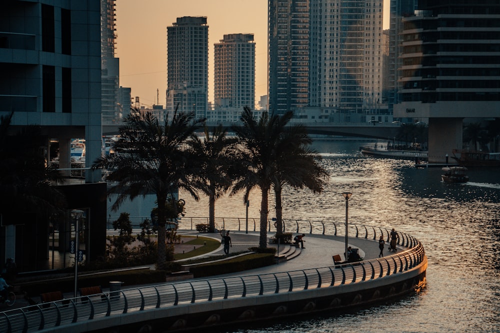 a view of a river with palm trees in the foreground