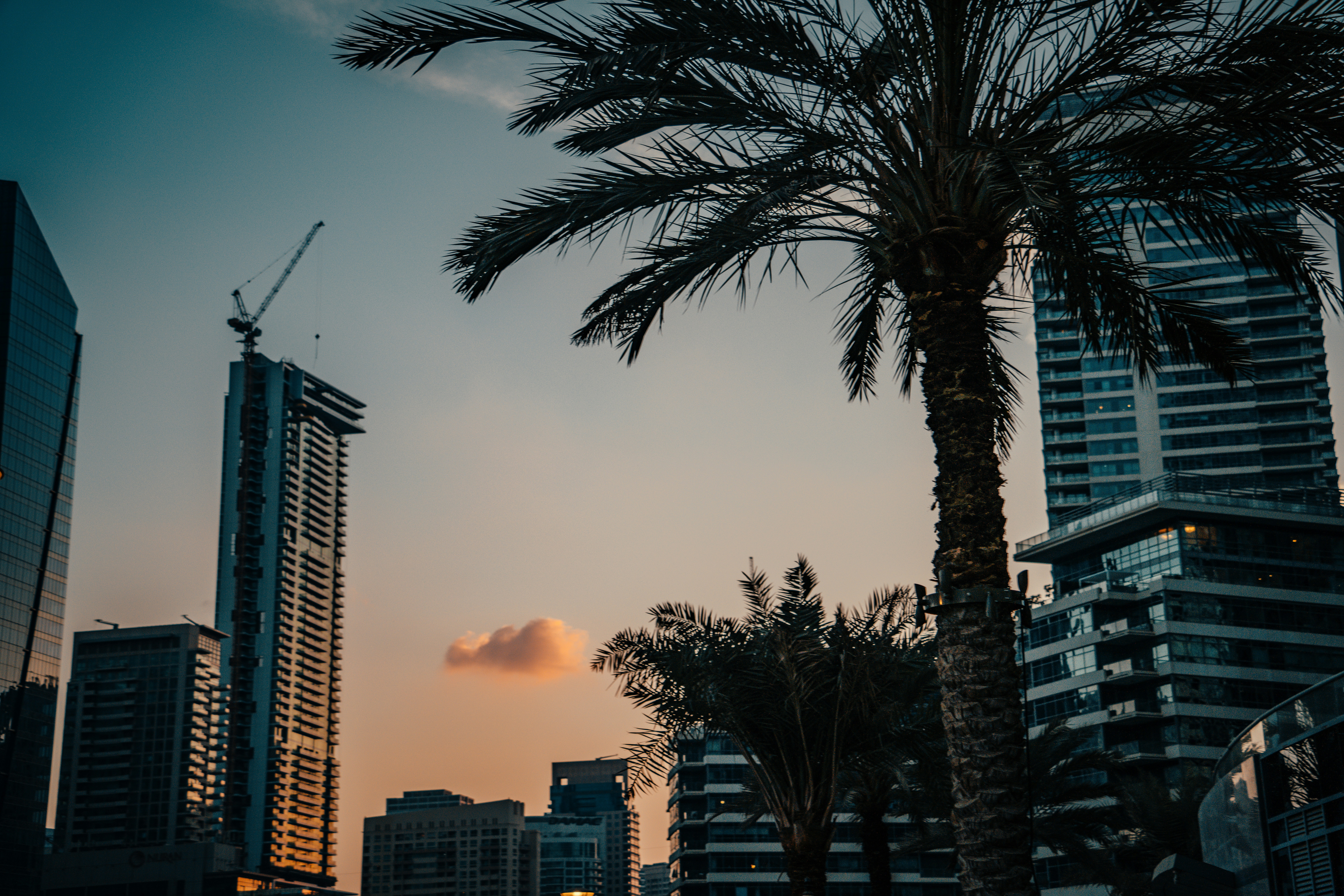 Photo by raimondklavins