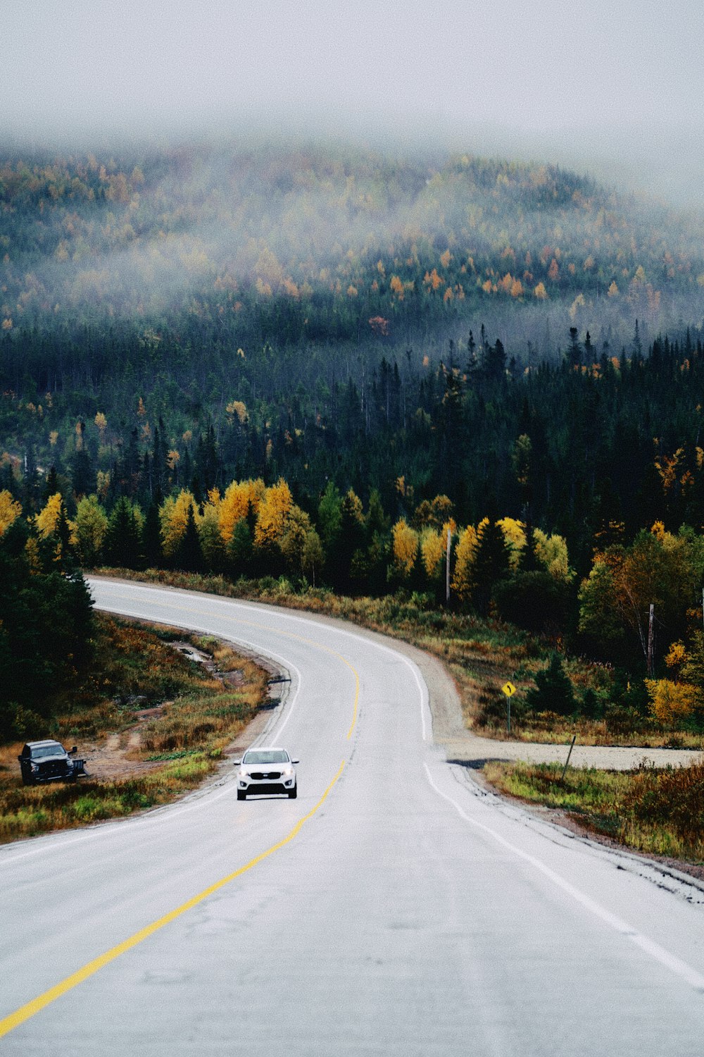 a car driving down a road in the middle of a forest