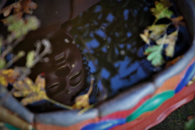A serene reflection of a Buddha statue is visible in a pool of water, surrounded by colorful leaves and a vibrant, multicolored ceramic edge. The surface of the water is calm, capturing the peaceful visage with clarity.