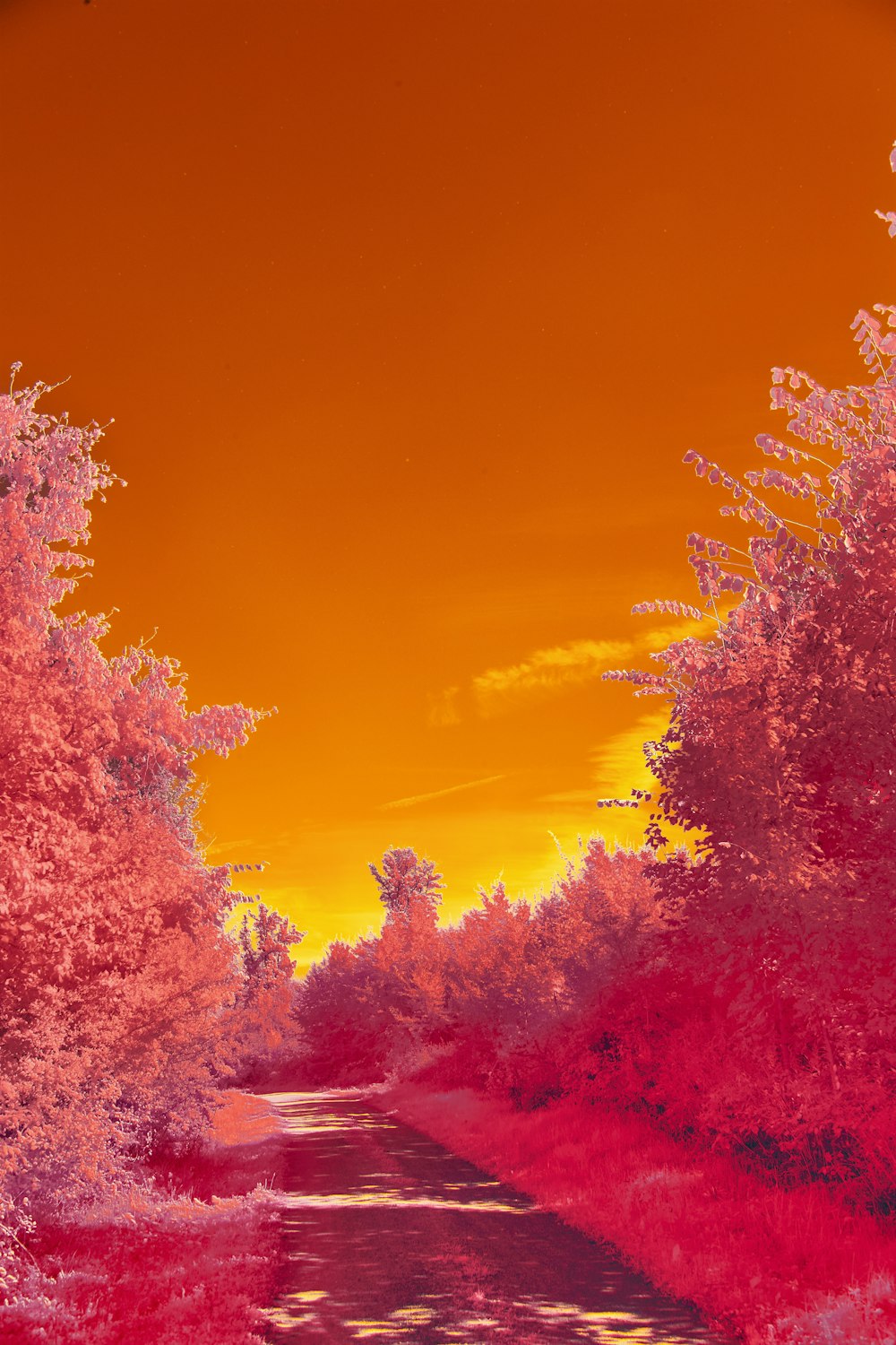 an infrared image of a river and trees
