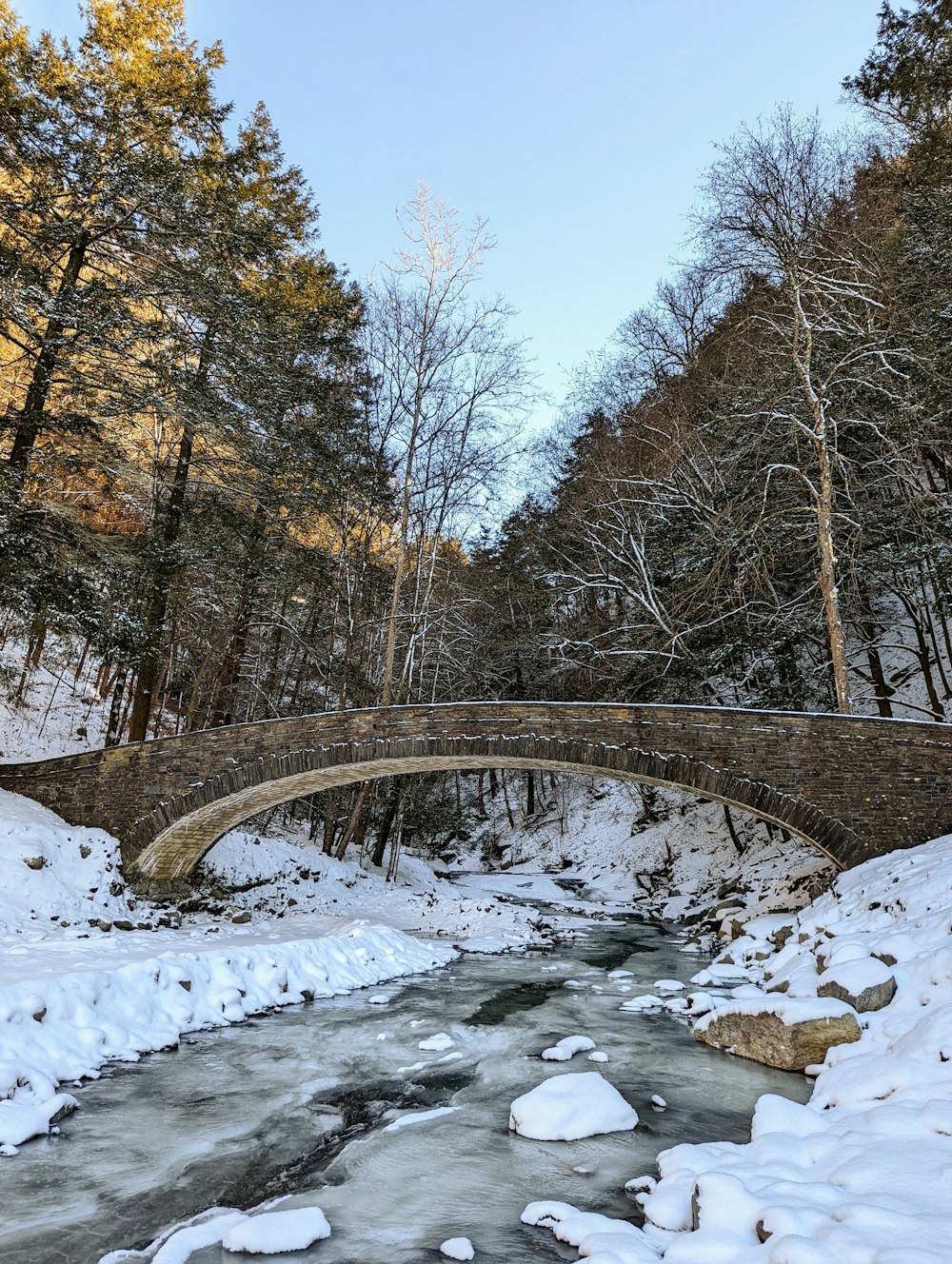 a bridge over a stream in a snowy forest