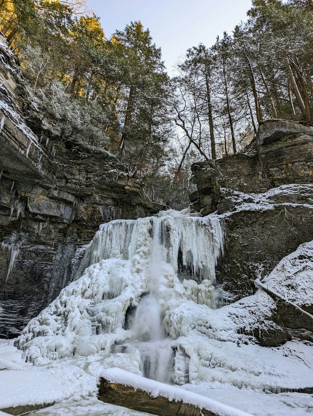 a frozen waterfall in the middle of a forest