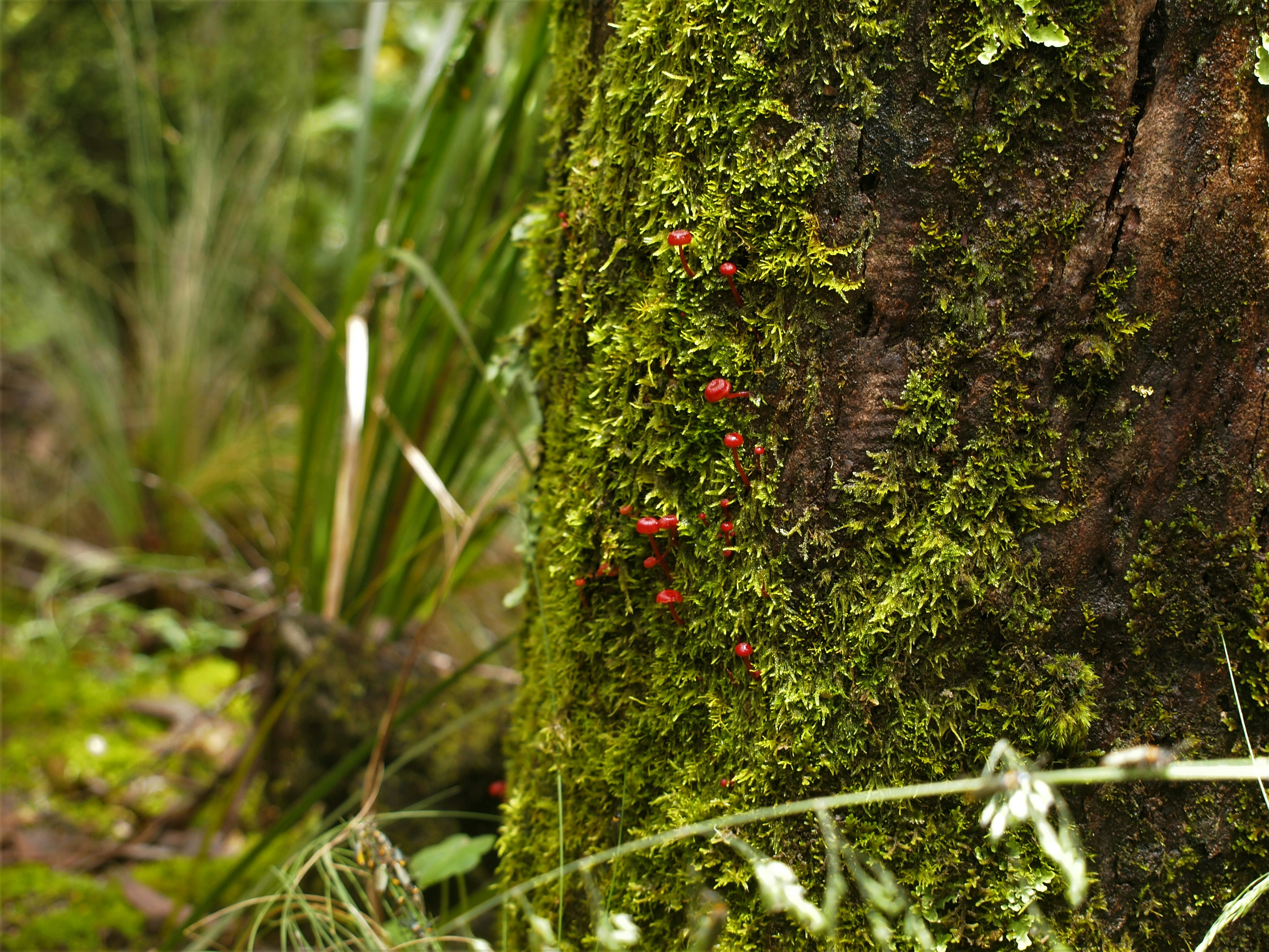 Photo by bluephoto118