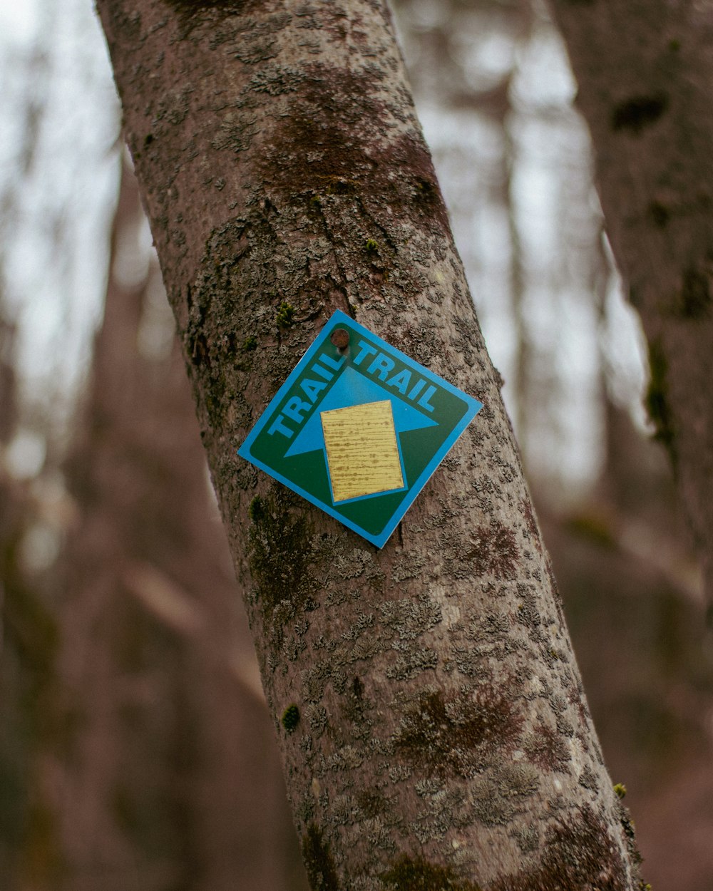 a blue and yellow sign on a tree in the woods