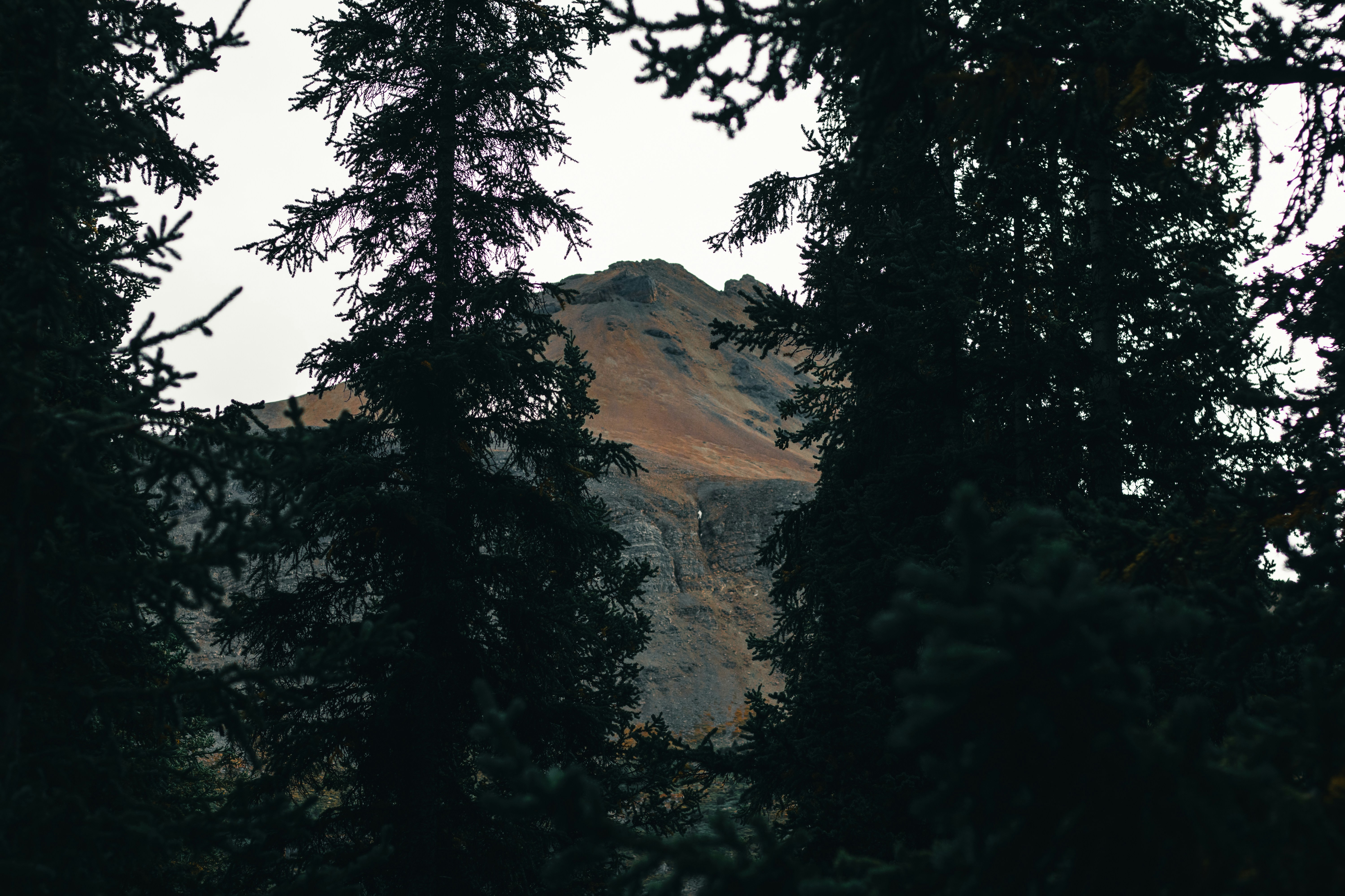 Photo by lureofadventure