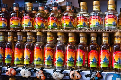 Multiple bottles of mezcal neatly arranged on shelves, each with a colorful label featuring an agave plant and various designs against a sunset backdrop. Small animal figurines are displayed beneath the bottles.