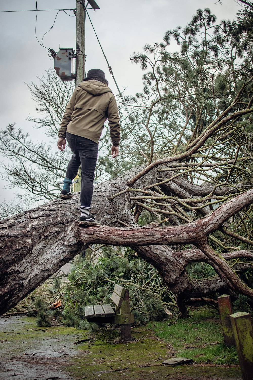 a man is walking on a fallen tree