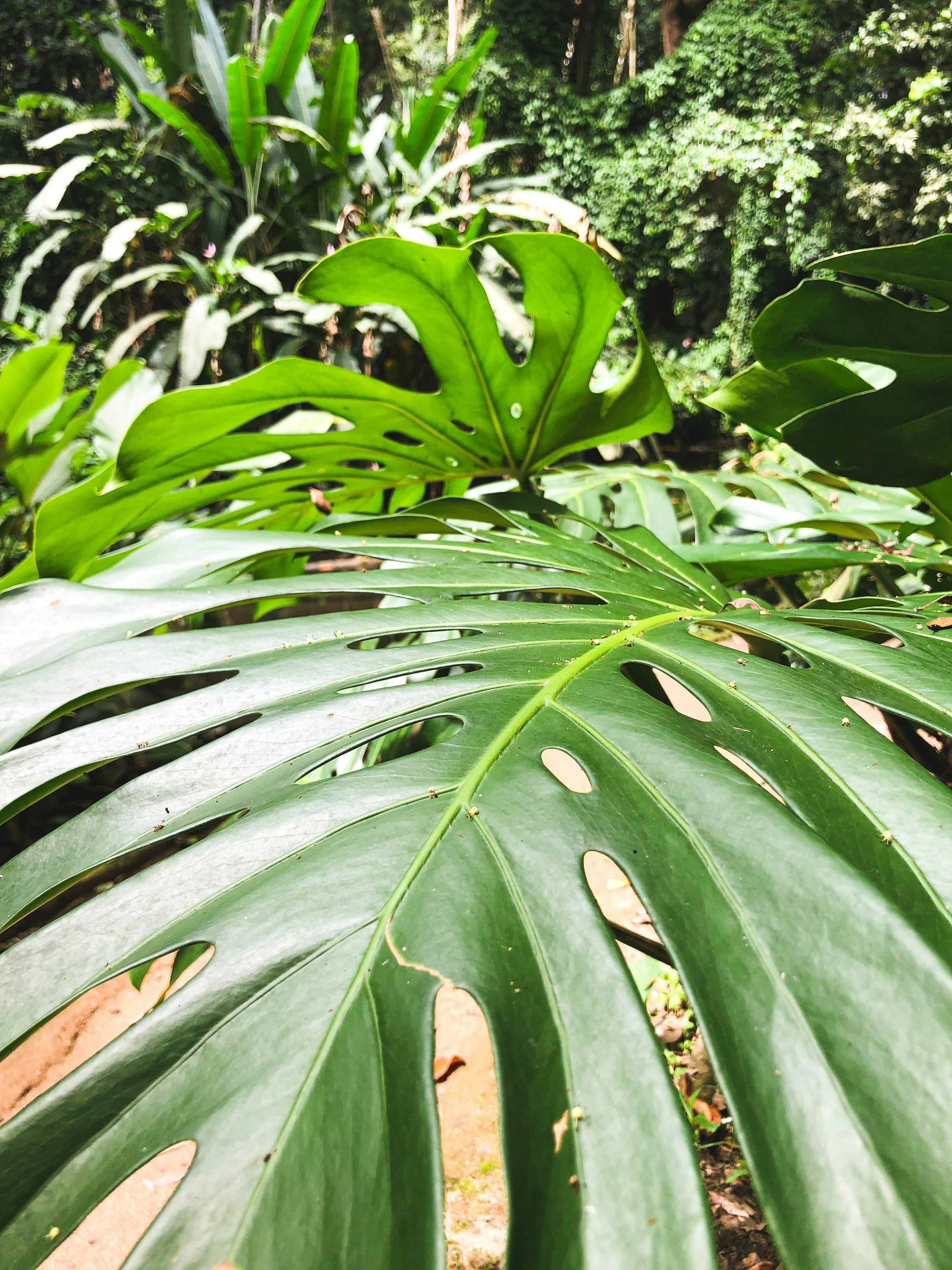 Photo by gabrielsuares