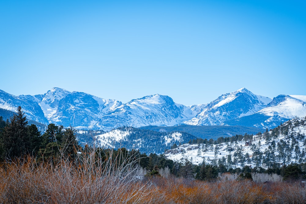 a view of a mountain range covered in snow