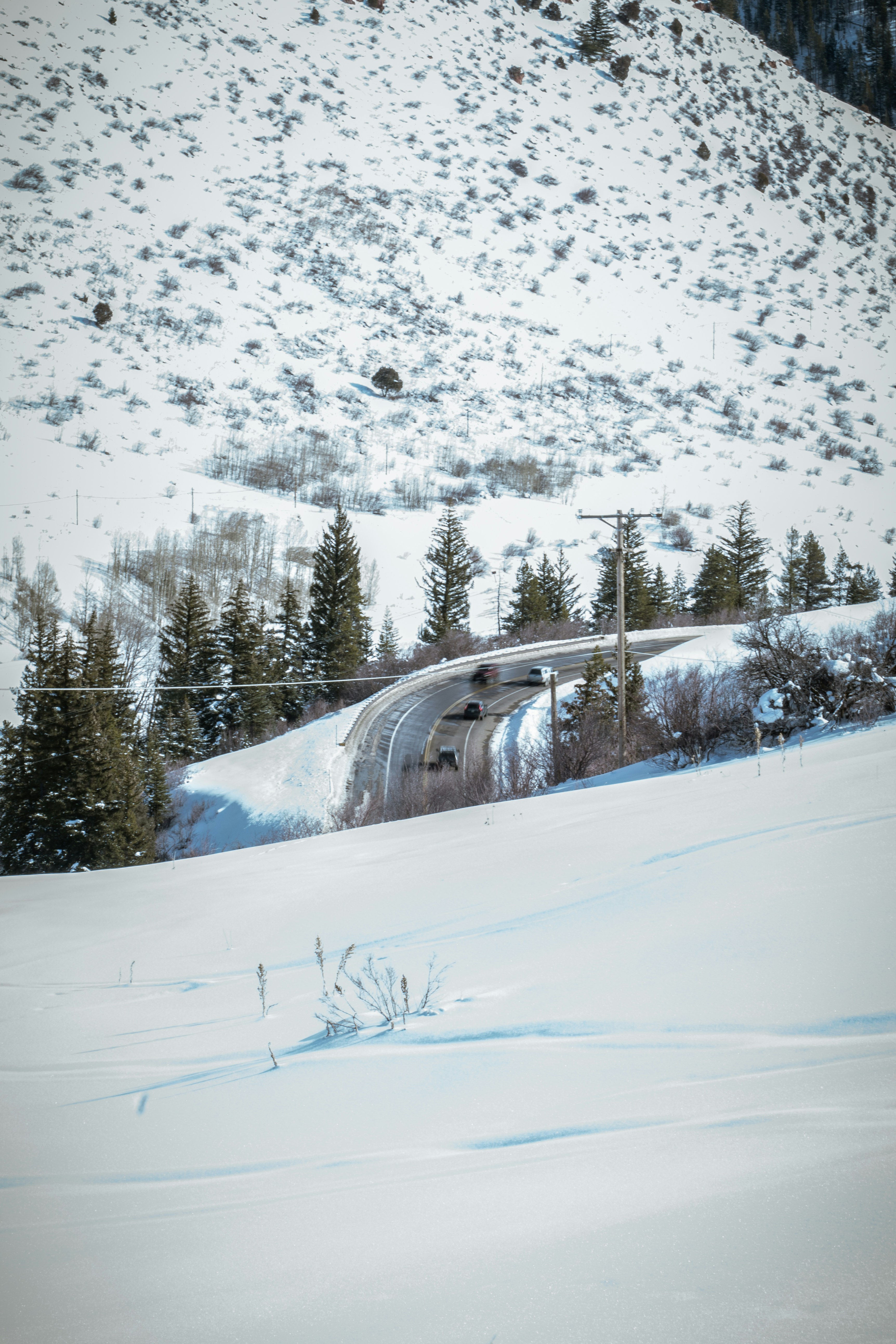 Photo by scottrjs