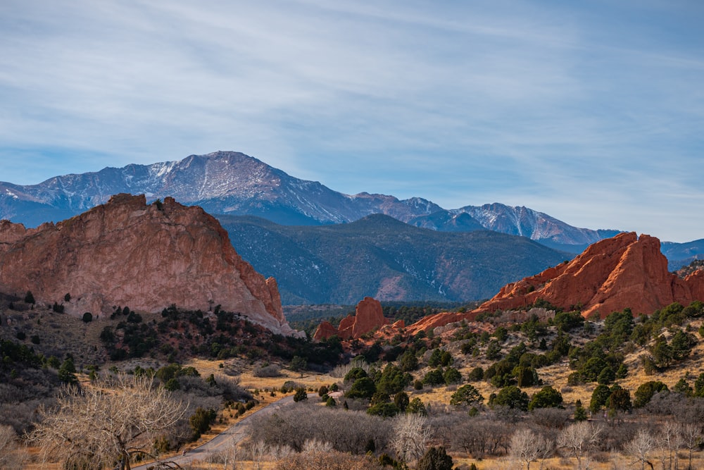 a scenic view of mountains and trees in the foreground