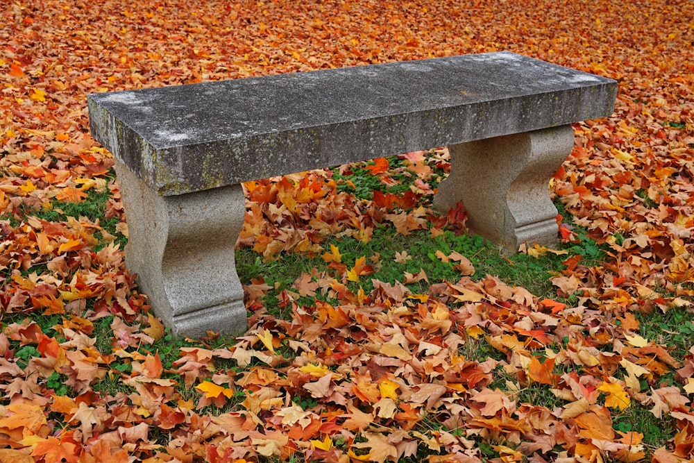 a concrete bench sitting in a field of leaves